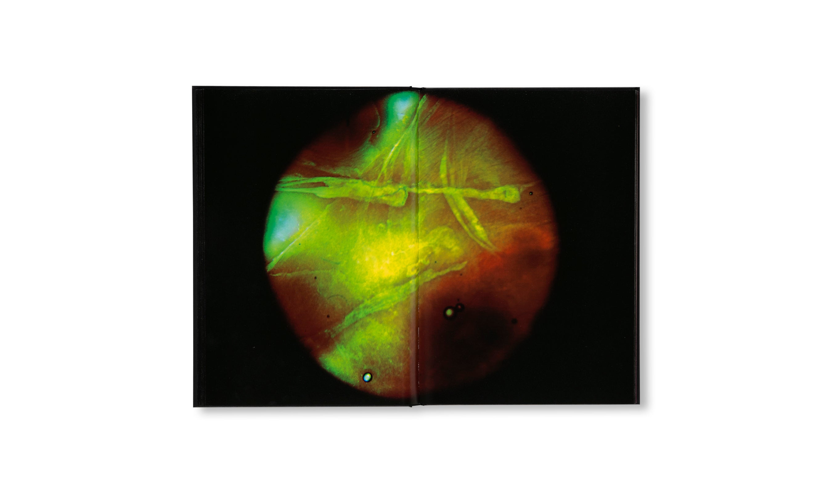 MY BLOODY HAND by Momo Okabe [SIGNED]