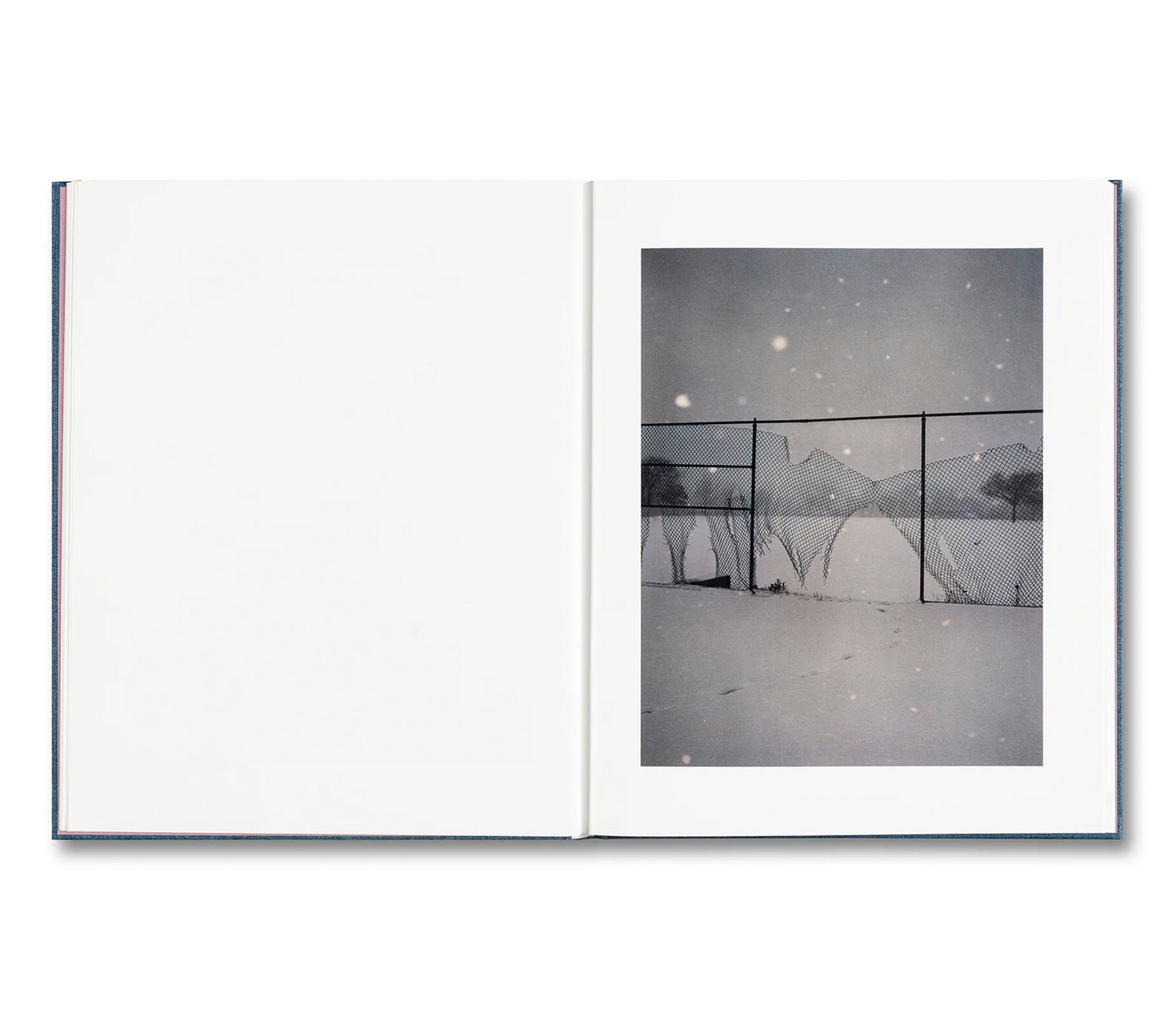 KING, QUEEN, KNAVE by Gregory Halpern [SIGNED]