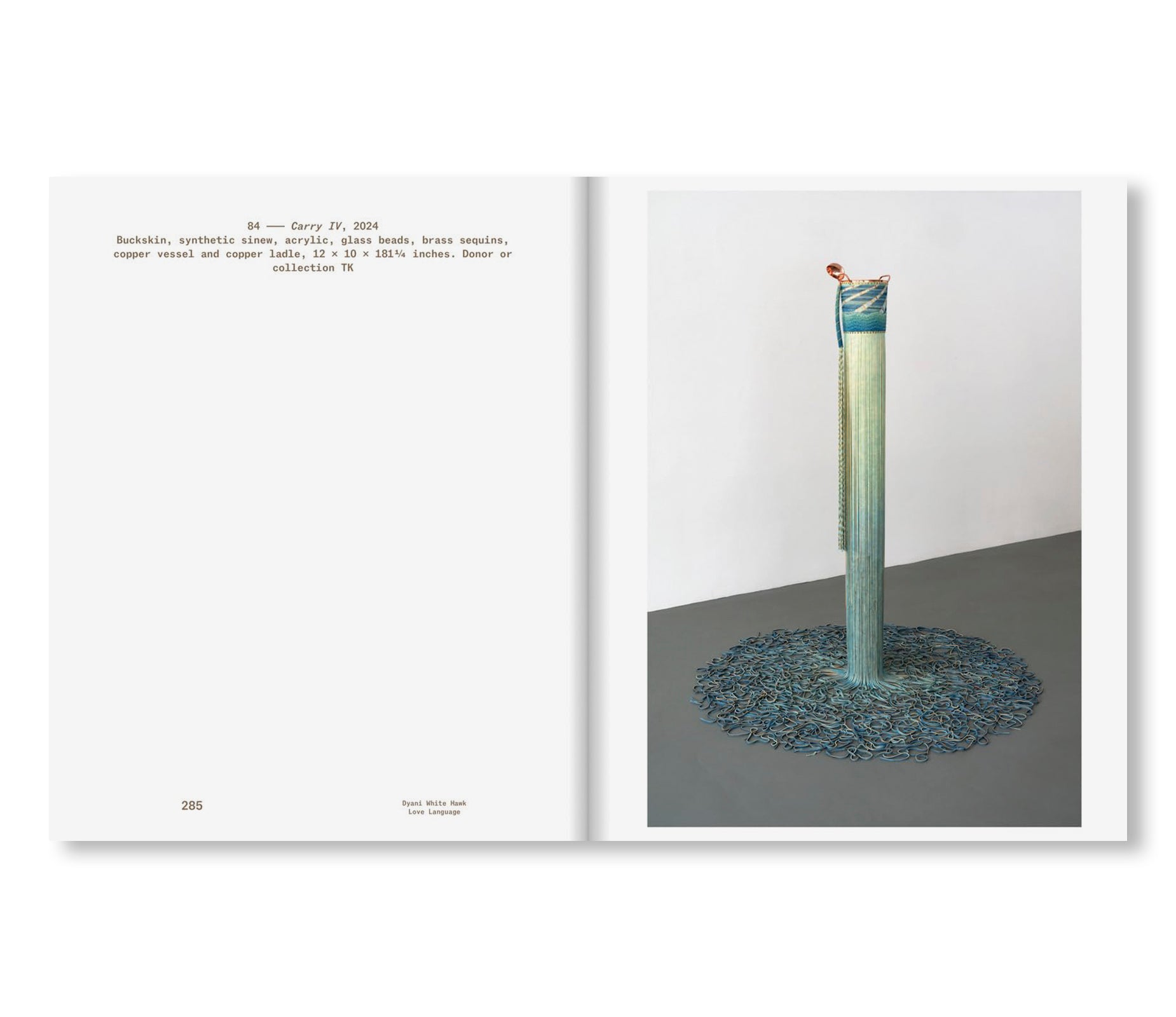 DYANI WHITE HAWK: LOVE LANGUAGE by Dyani White Hawk