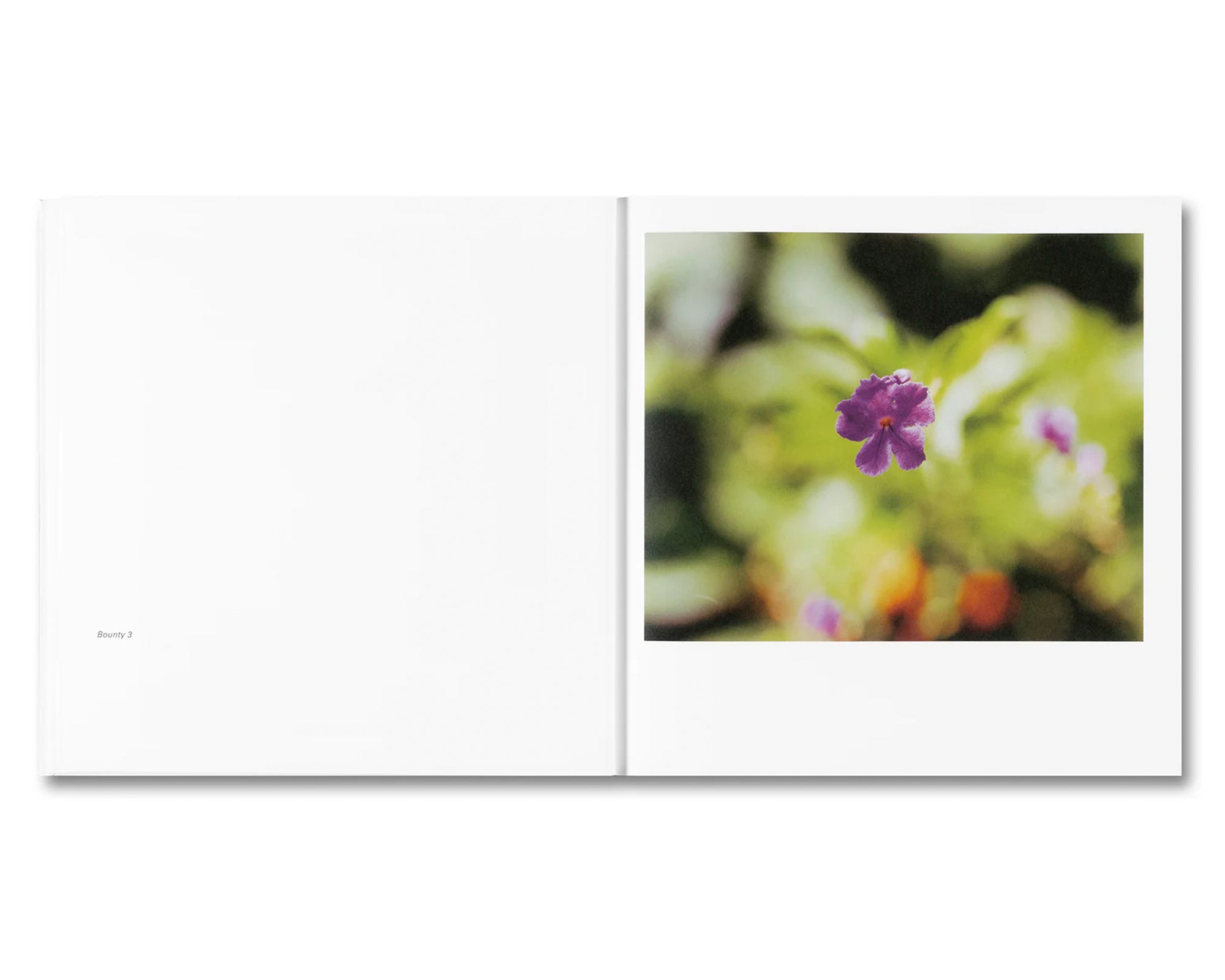 BOUNTY by Steve McQueen