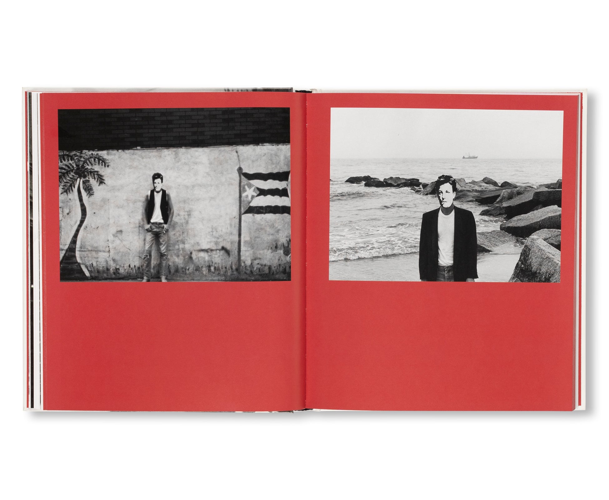 ARTHUR RIMBAUD IN NEW YORK by David Wojnarowicz