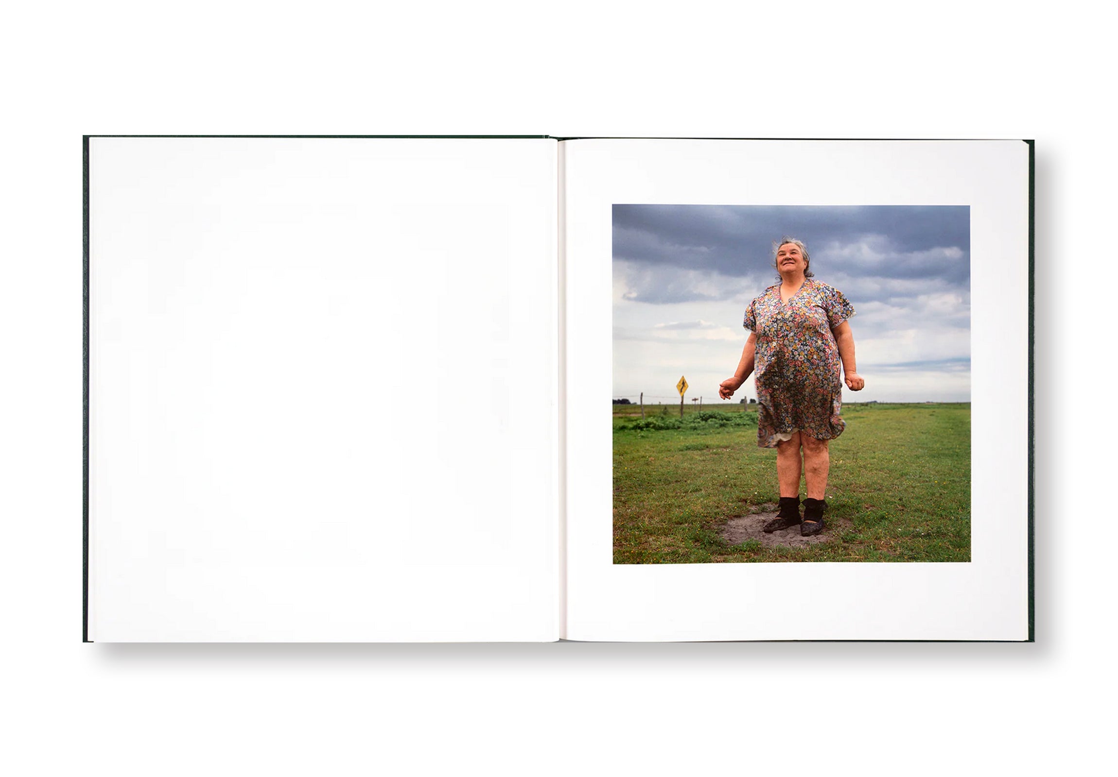 ON THE SIXTH DAY by Alessandra Sanguinetti  [SIGNED]