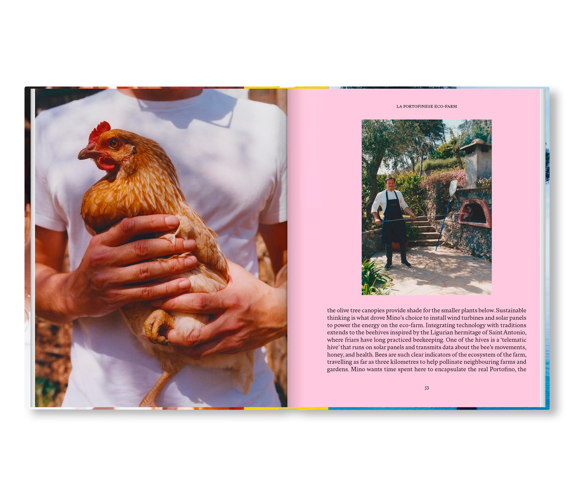 LIGURIA: RECIPES & WANDERINGS ALONG THE ITALIAN RIVIERA