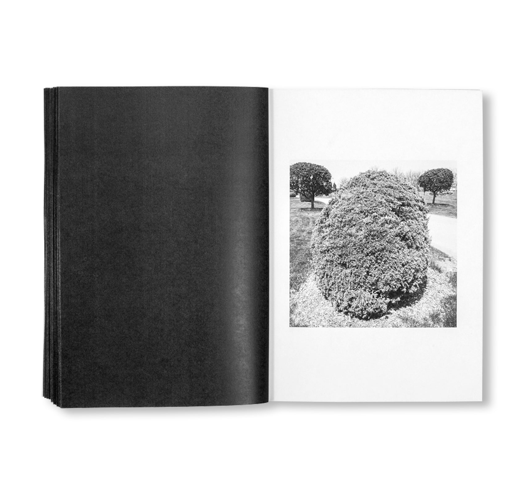 SHRUBS OF DEATH by Mike Slack [ENGLISH COVER / SIGNED]