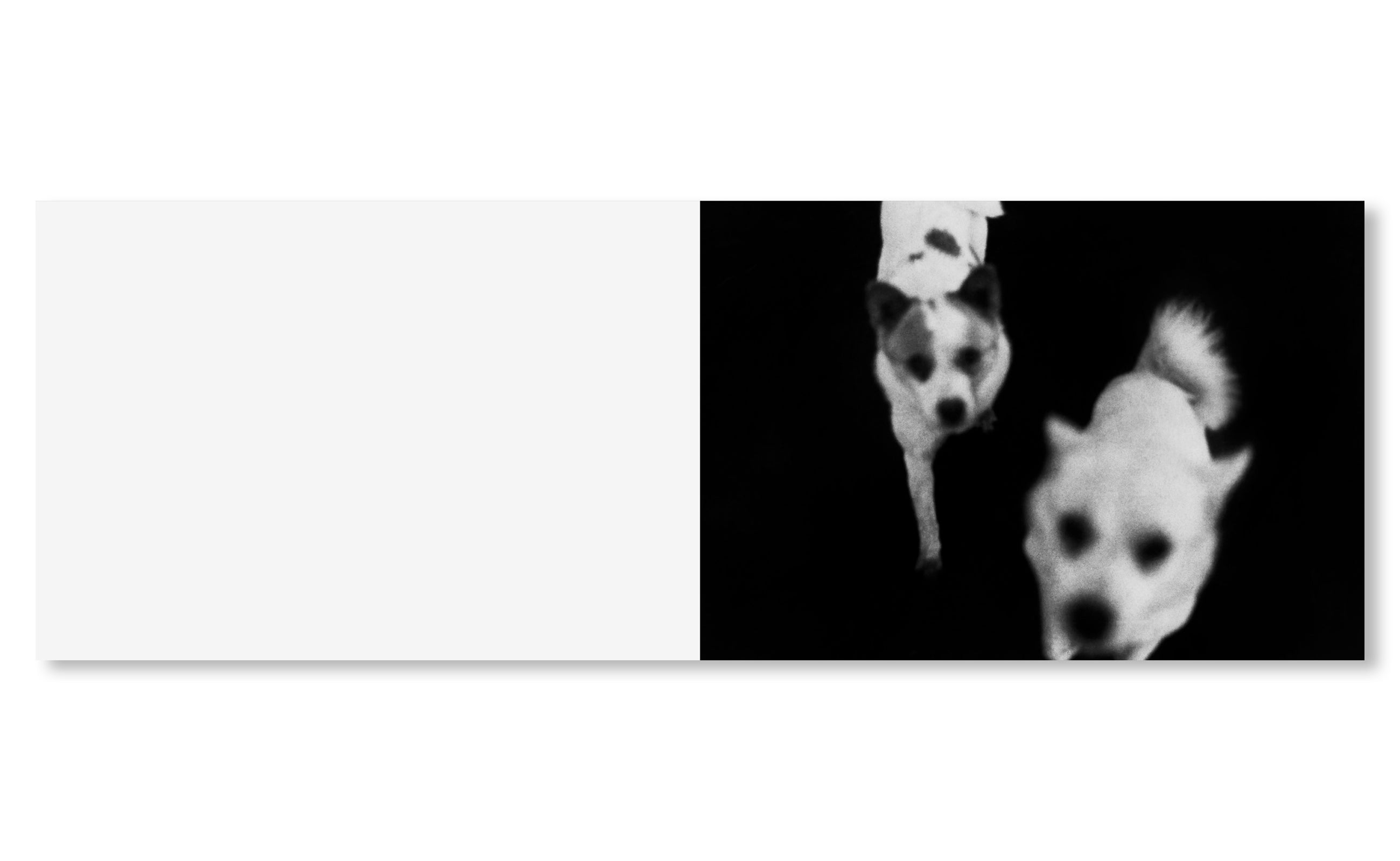 IN THE FLAP OF A BIRD'S WING, WATER DRIES UP by Eriko Masaoka