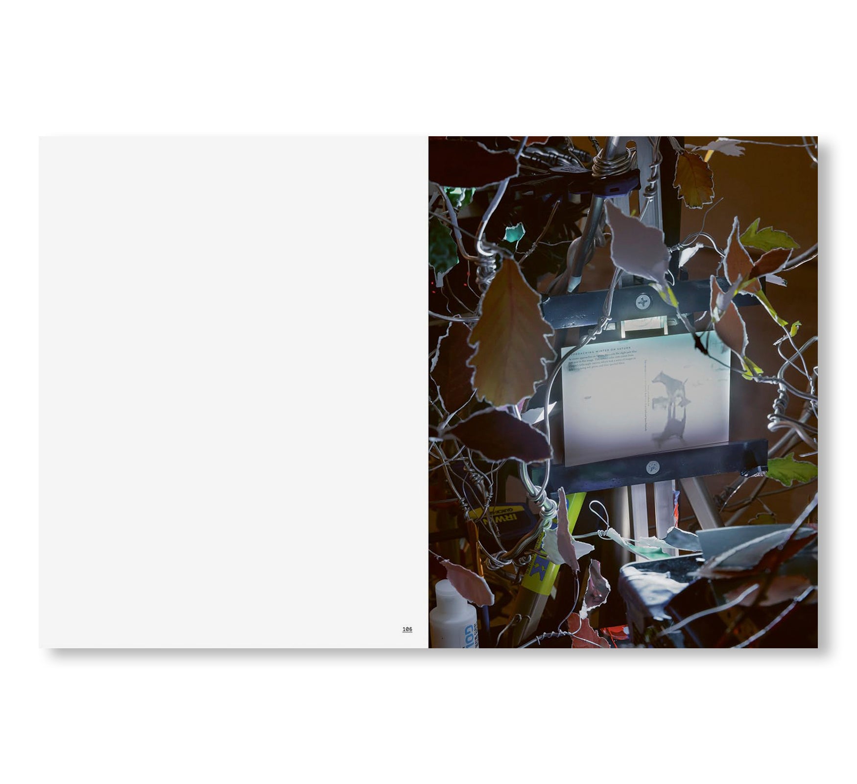 SARAH SZE by Sarah Sze