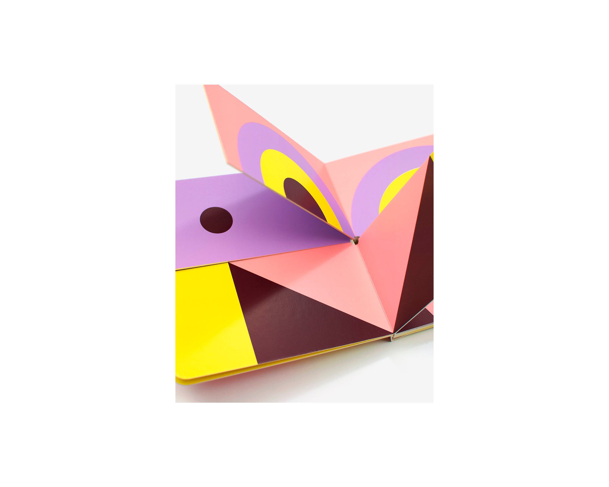 BIRDS by Damien Poulain