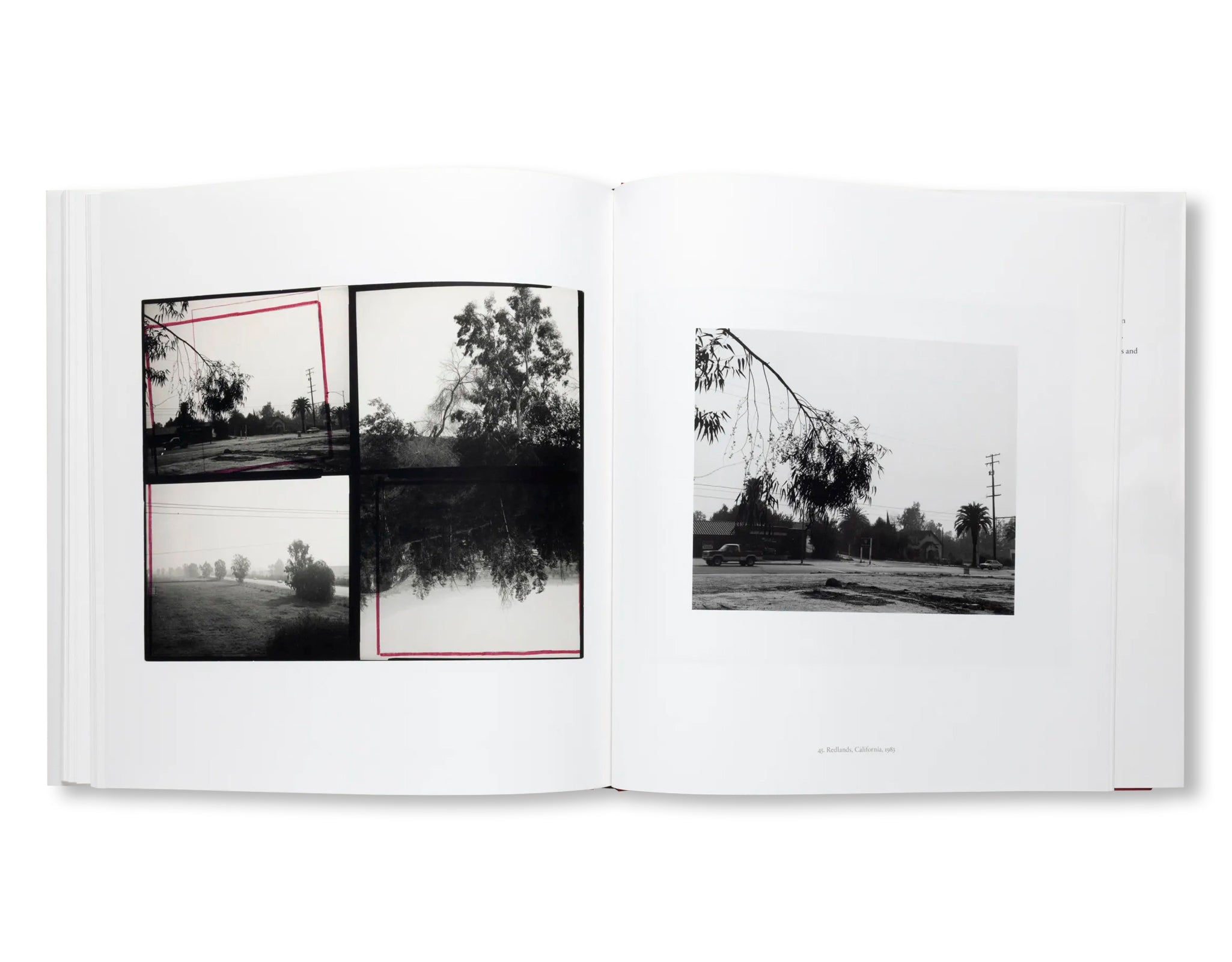 ROBERT ADAMS: CONTACT by Robert Adams