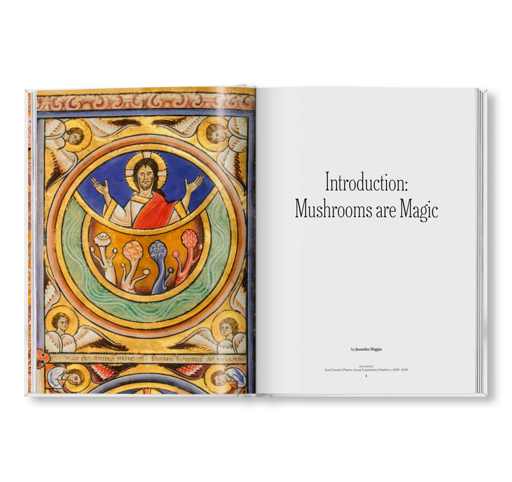 THE GOURMAND'S MUSHROOM. A COLLECTION OF STORIES AND RECIPES by The Gourmand