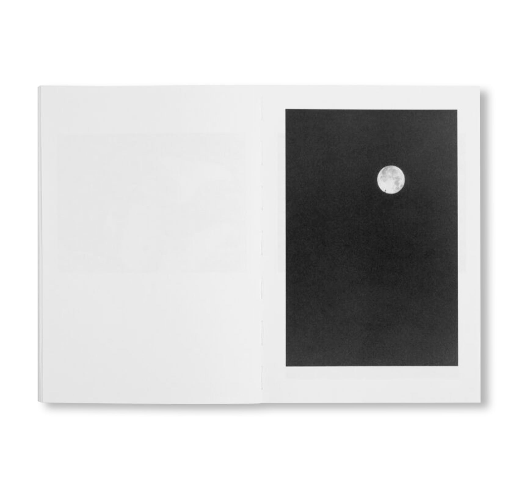 LOCAL ECOLOGY. MOULIN DES RIBES by Jochen Lempert