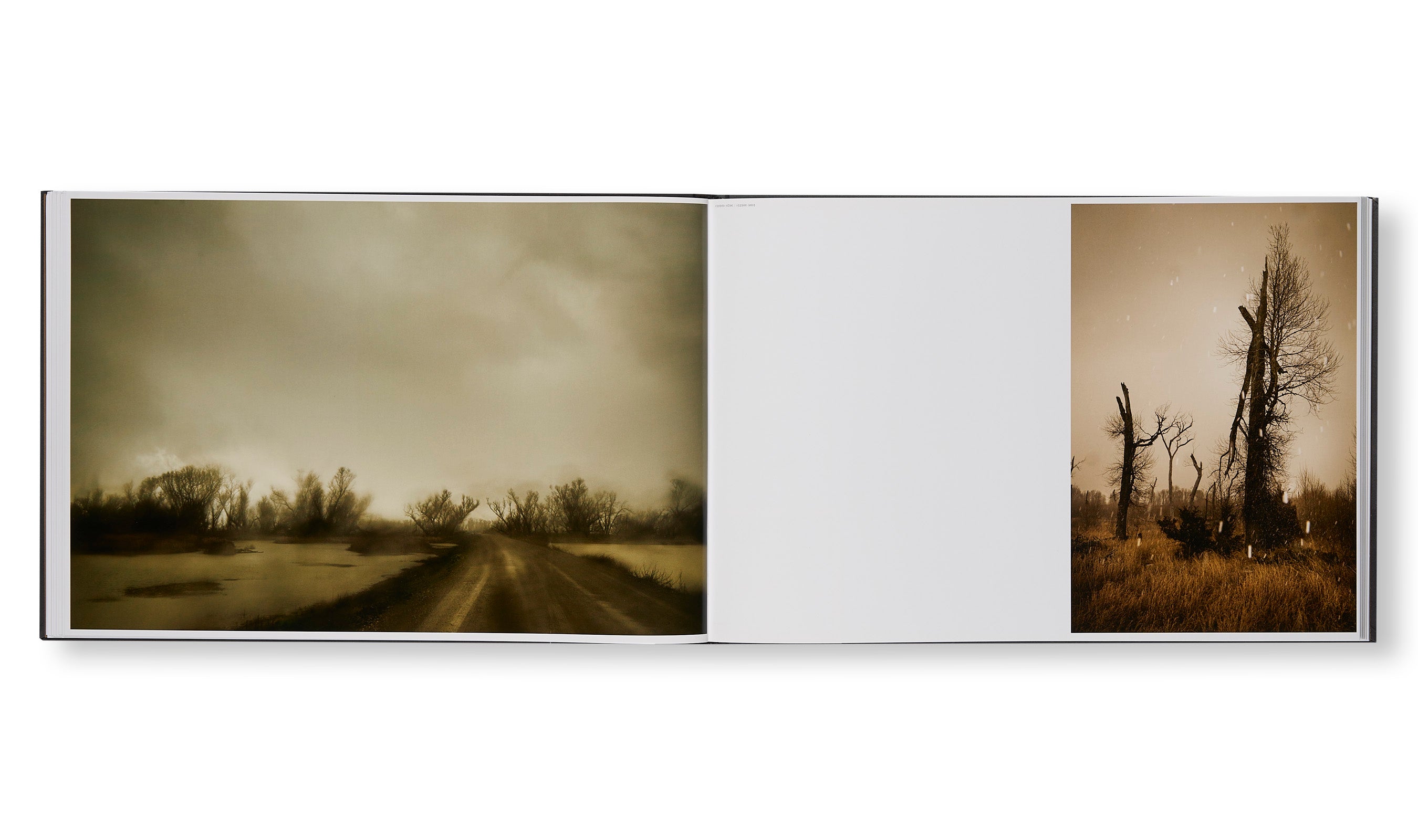 THE END SENDS ADVANCE WARNING by Todd Hido