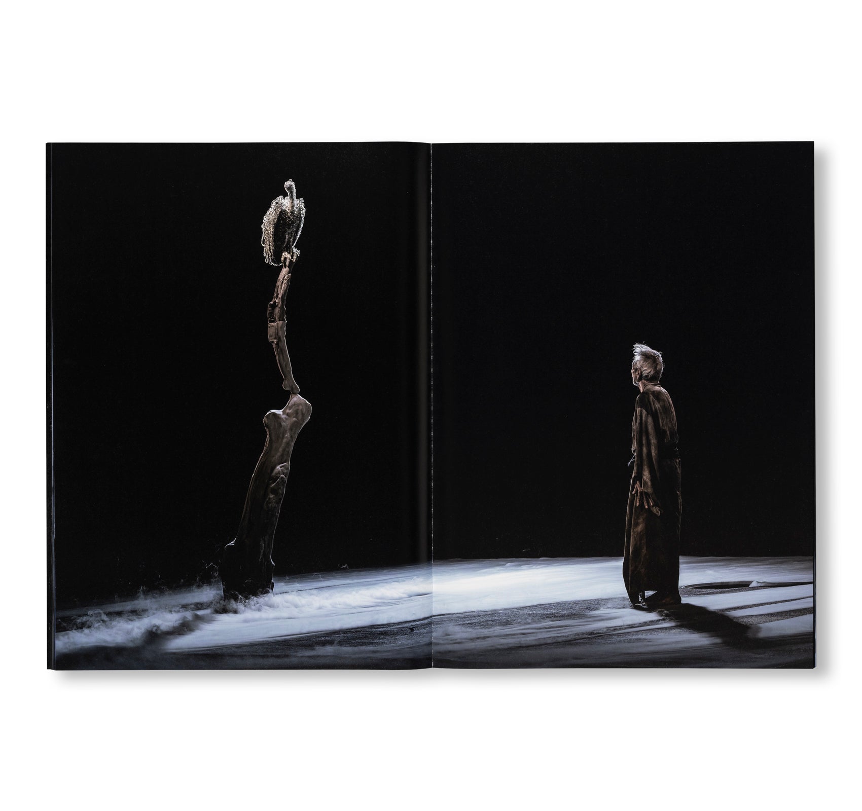 FROM THE EDGE 彼岸より by Min Tanaka, Kohei Nawa