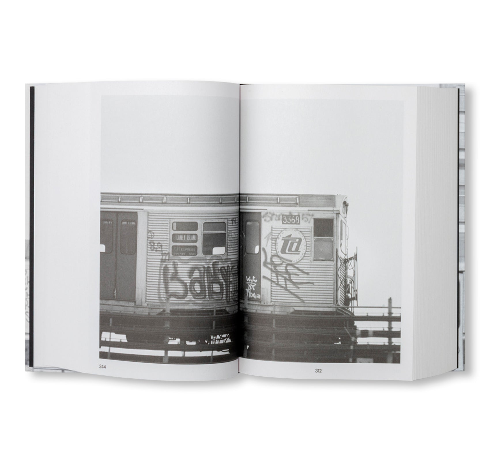 PASSING THROUGH MOVING IN AND GETTING AWAY WITH IT: GORDON MATTA-CLARK NEW YORK CITY GRAFFITI PHOTOGRAPHS, 1972–73 by Gordon Matta-Clark [SECOND PRINTING]
