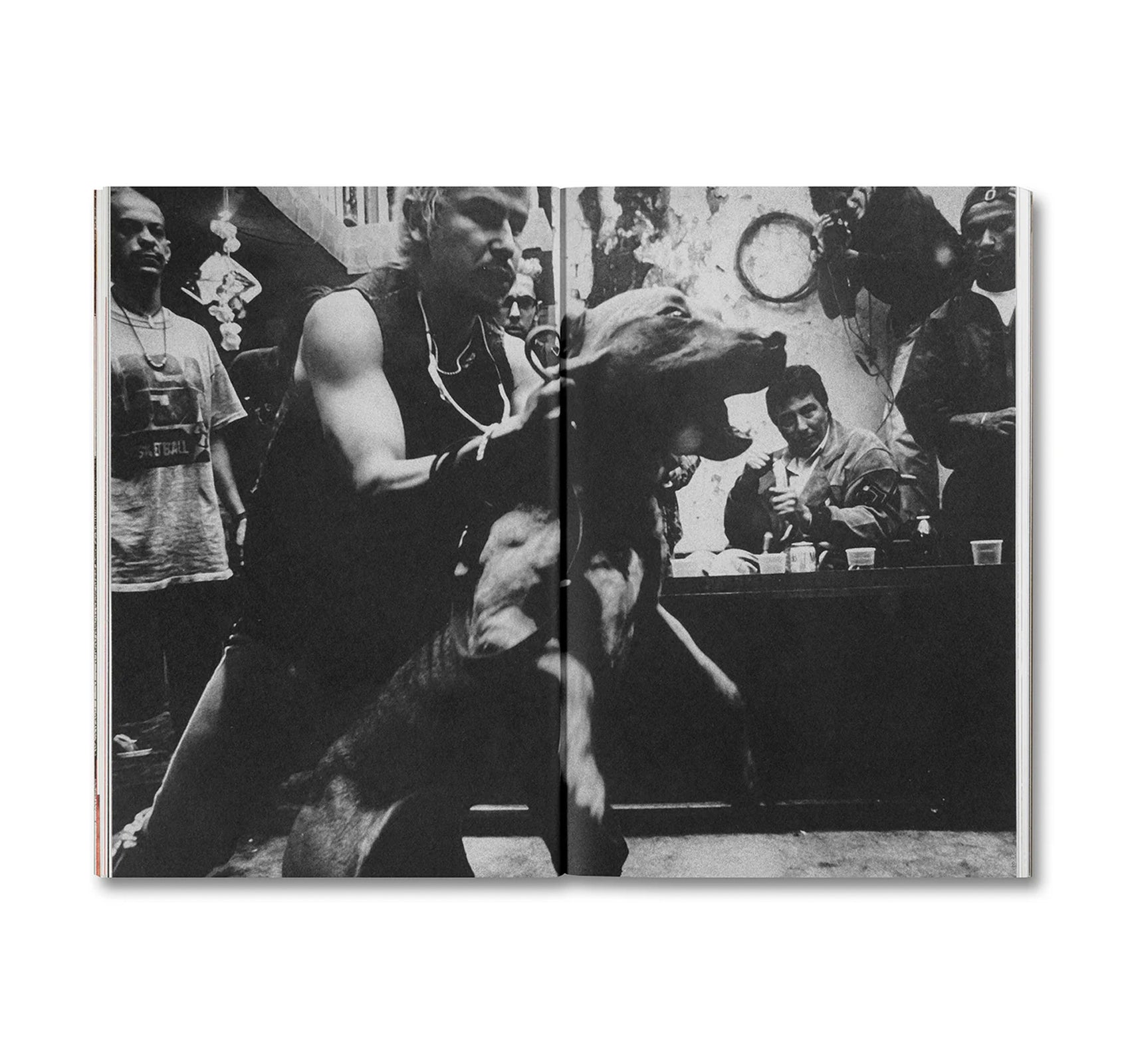 UNLEASHING AMORES PERROS by Fernando Llanos [ENGLISH EDITION]