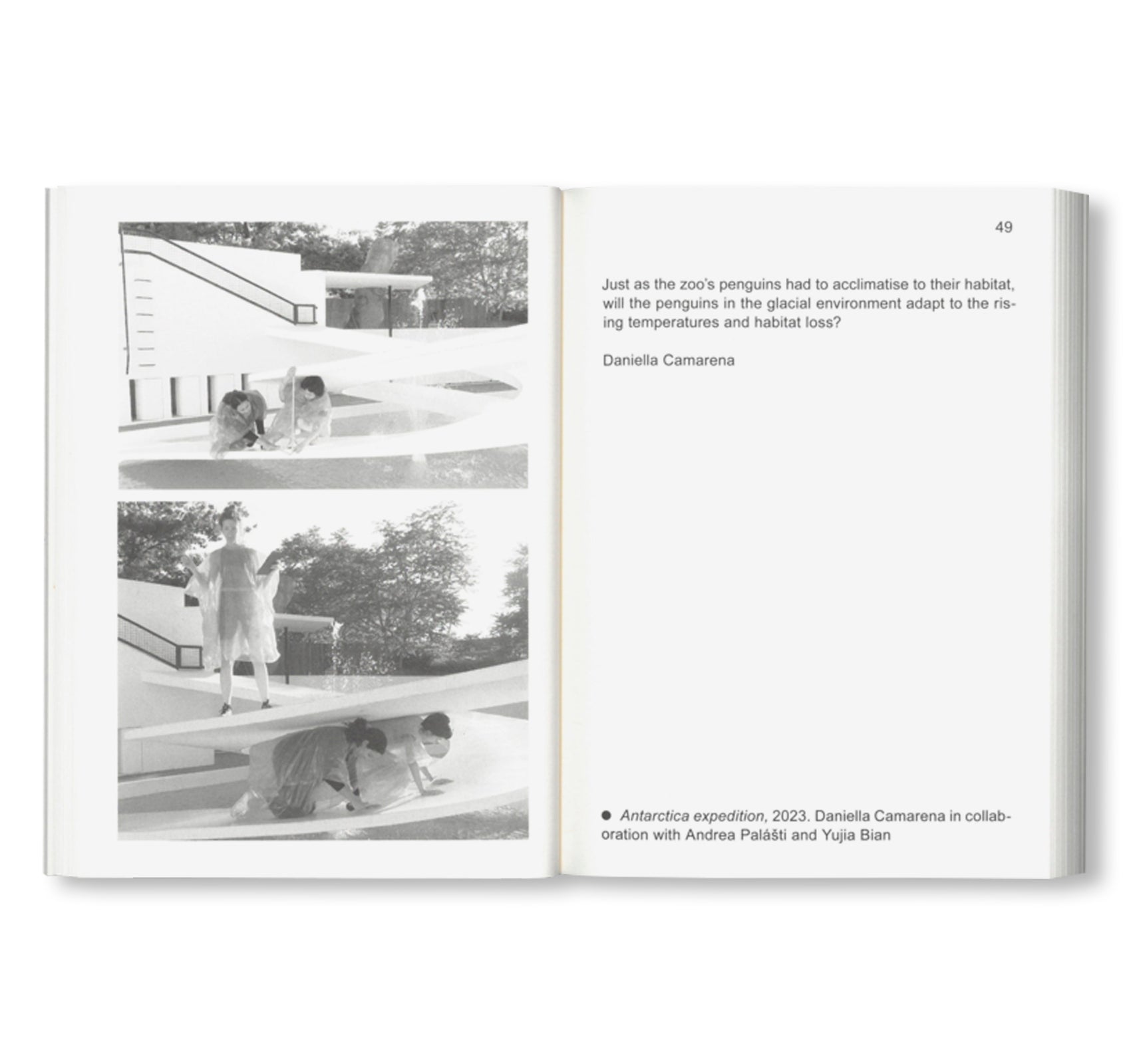 NOT A PENGUIN POOL: ECHOES OF MORE-THAN-HUMAN ENTANGLEMENTS / Bauhaus Paperback 28 by Stiftung Bauhaus Dessau