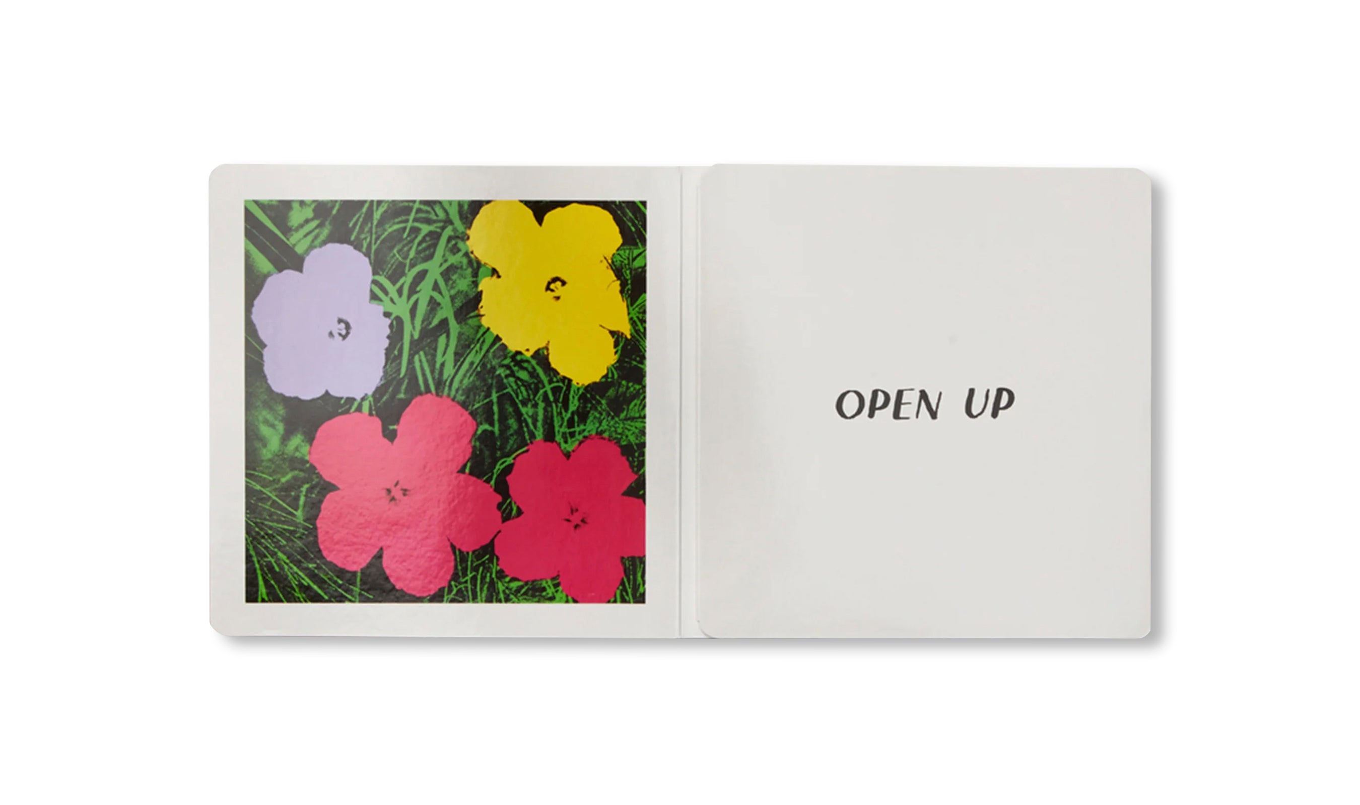 ART THIS WAY by Tamara Shopsin, Jason Fulford