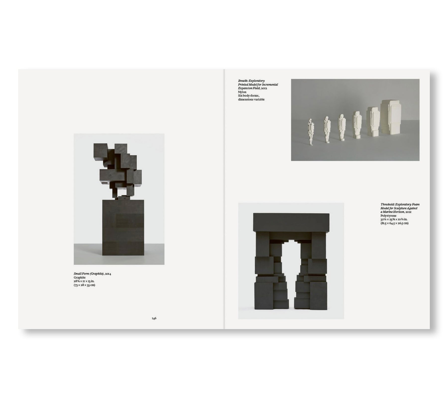 SURVEY by Antony Gormley