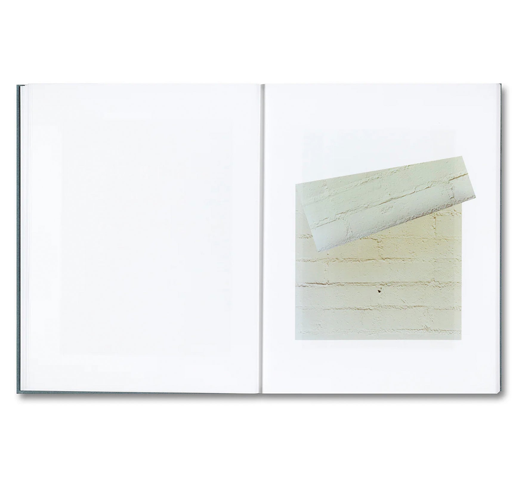 DISTRIBUTION by Daniel Shea [SIGNED]