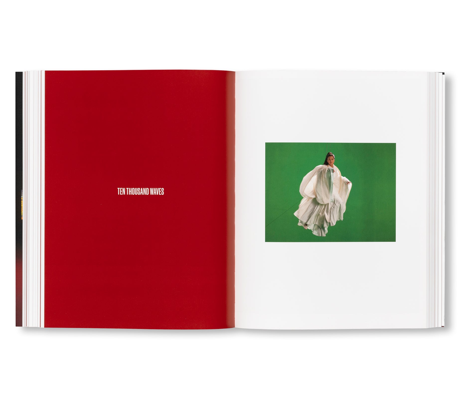 I DREAM A WORLD by Isaac Julien