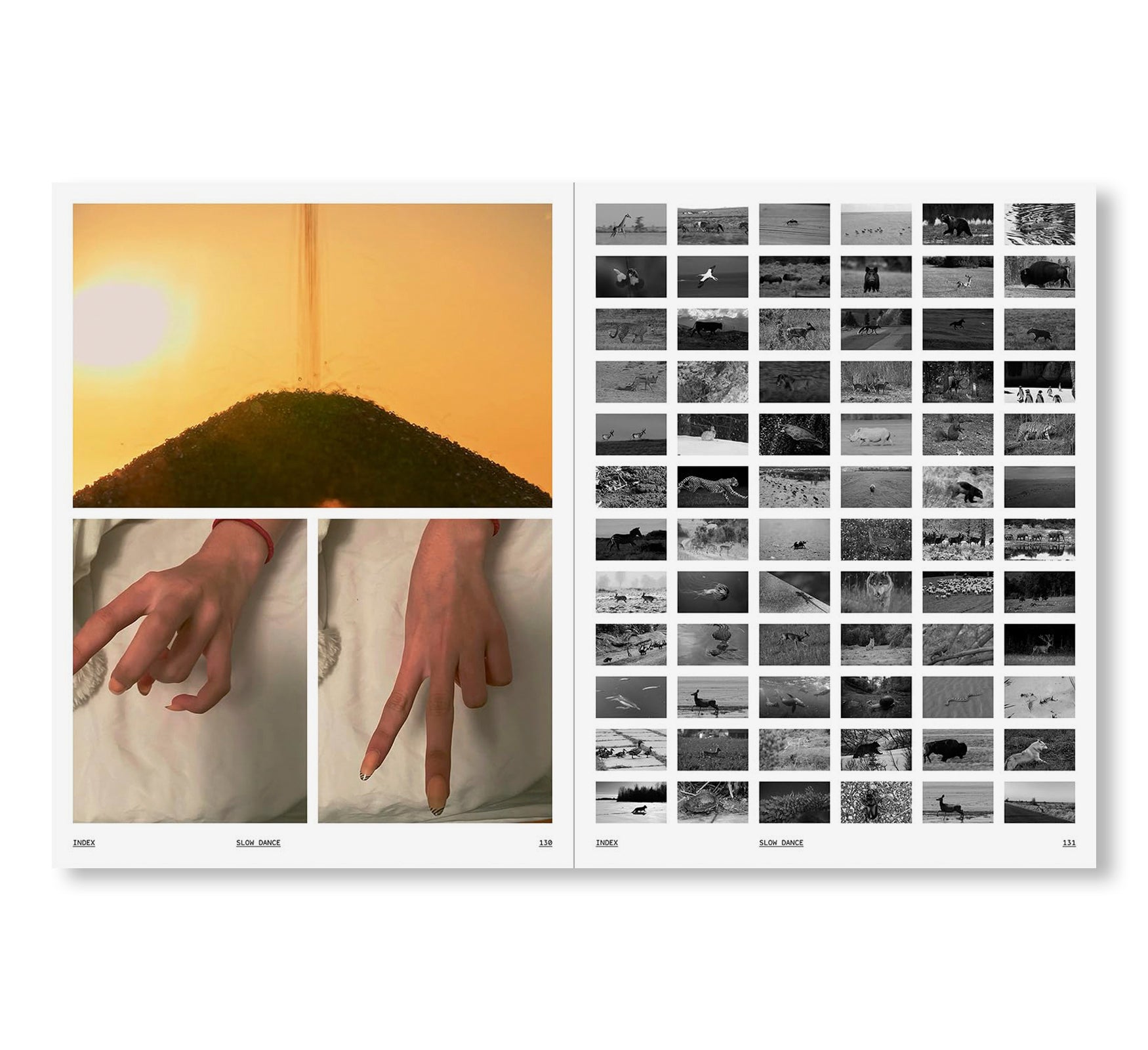 SARAH SZE by Sarah Sze