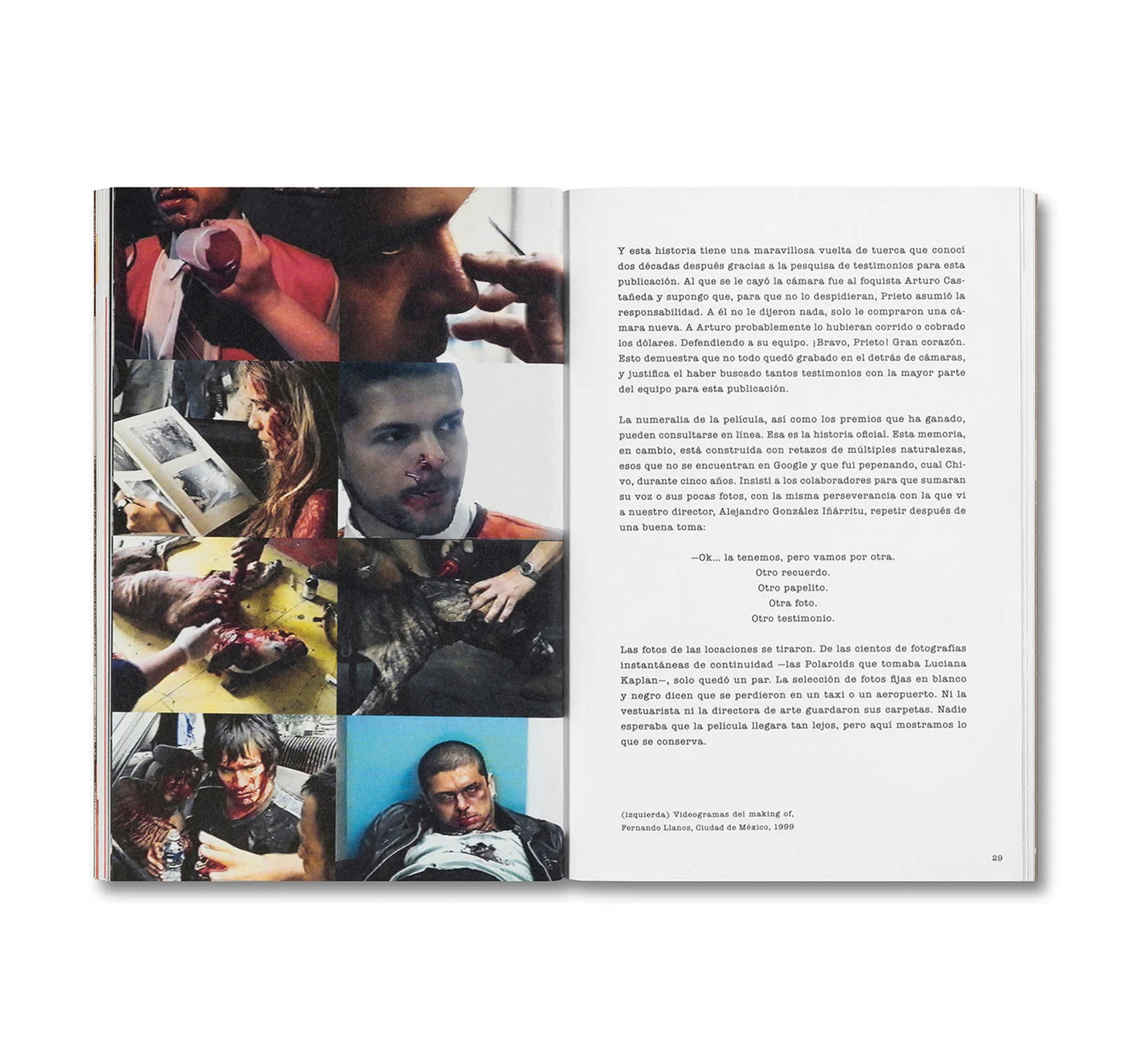 DESATAR AMORES PERROS by Fernando Llanos [SPANISH EDITION]