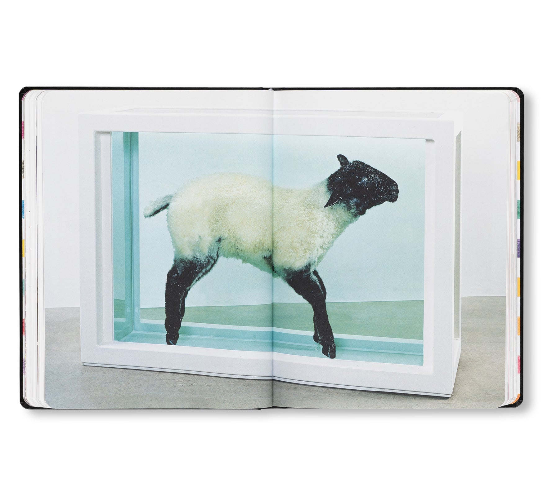 DAMIEN HIRST - DRAWINGS by Damien Hirst