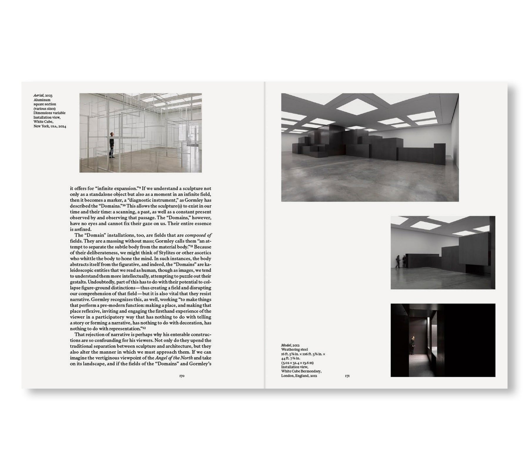 SURVEY by Antony Gormley