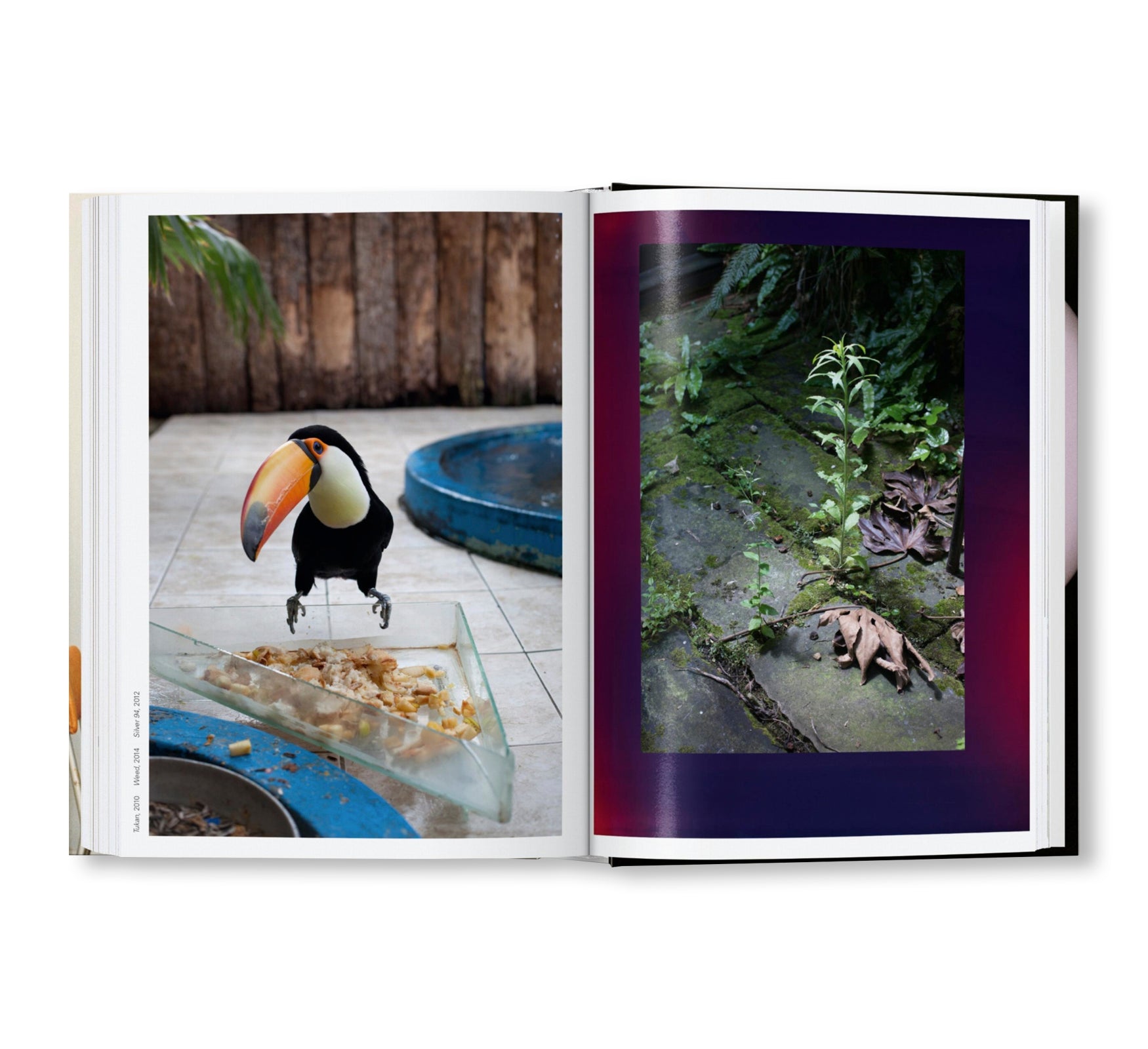 WOLFGANG TILLMANS FOUR BOOKS by Wolfgang Tillmans [ENGLISH / 45TH EDITION]