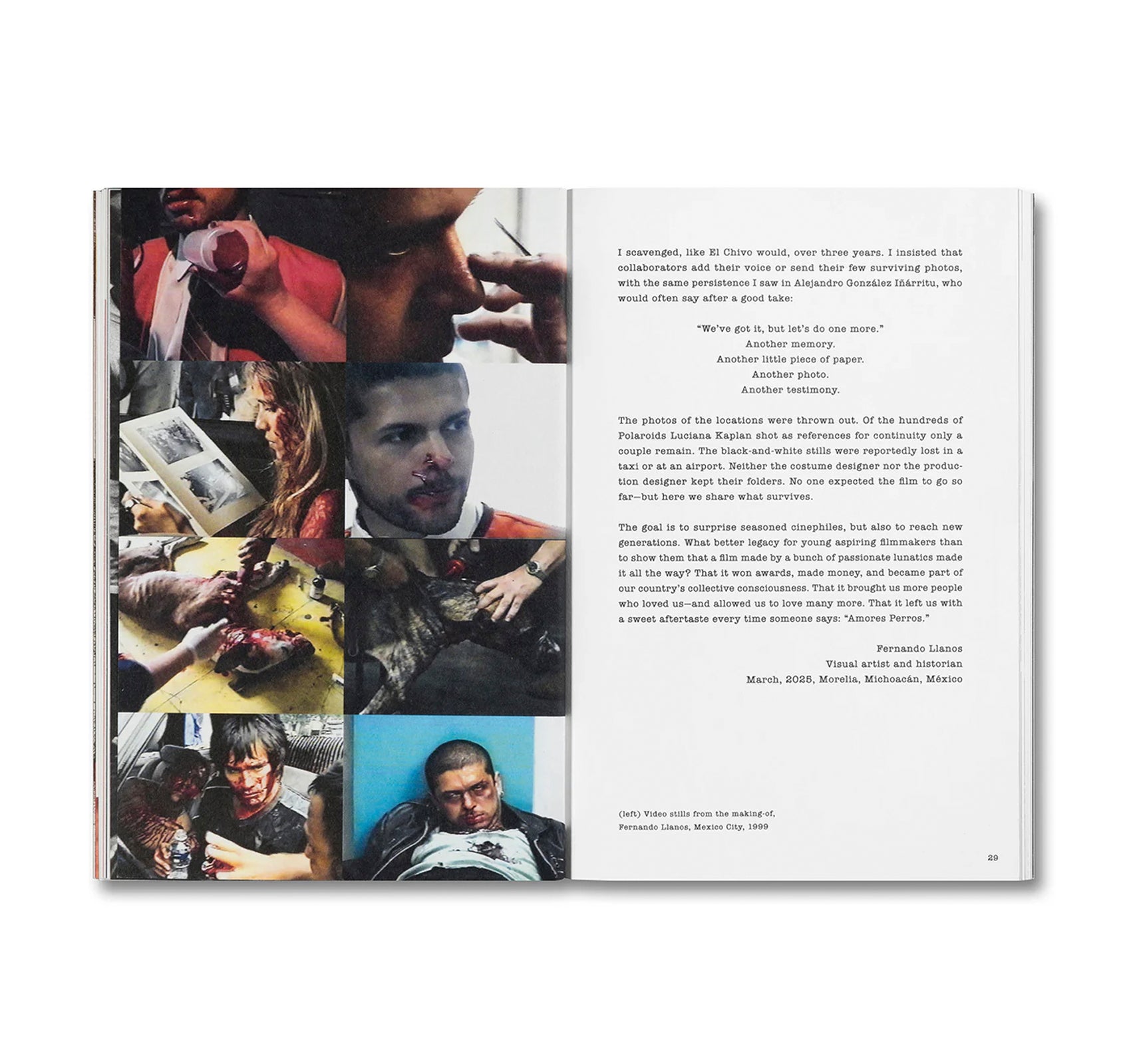 UNLEASHING AMORES PERROS by Fernando Llanos [ENGLISH EDITION]