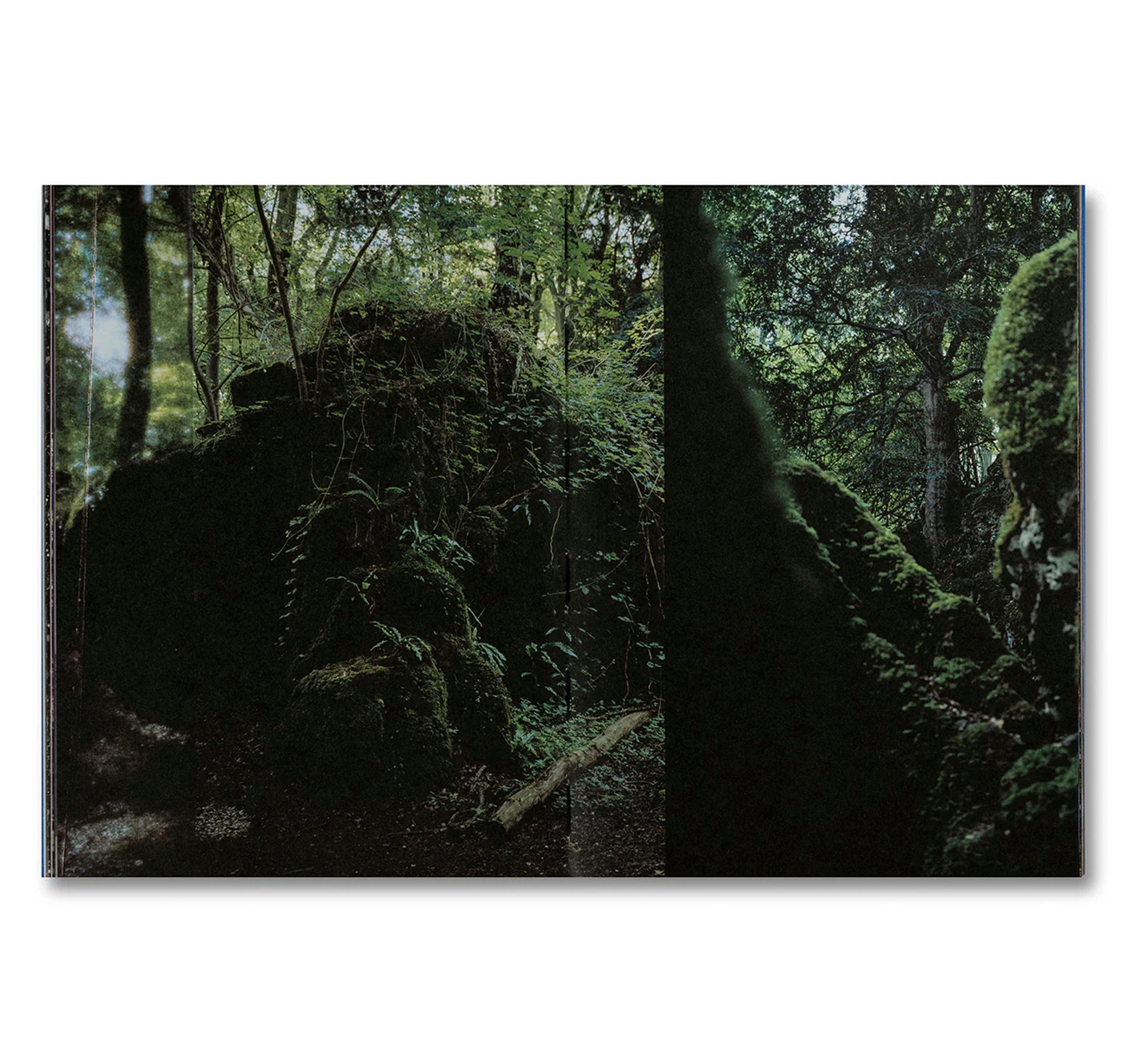 EVEN AS A SHADOW, EVEN AS A DREAM by Chloé Zhao, Jessie Buckley, Agata Grzybowska