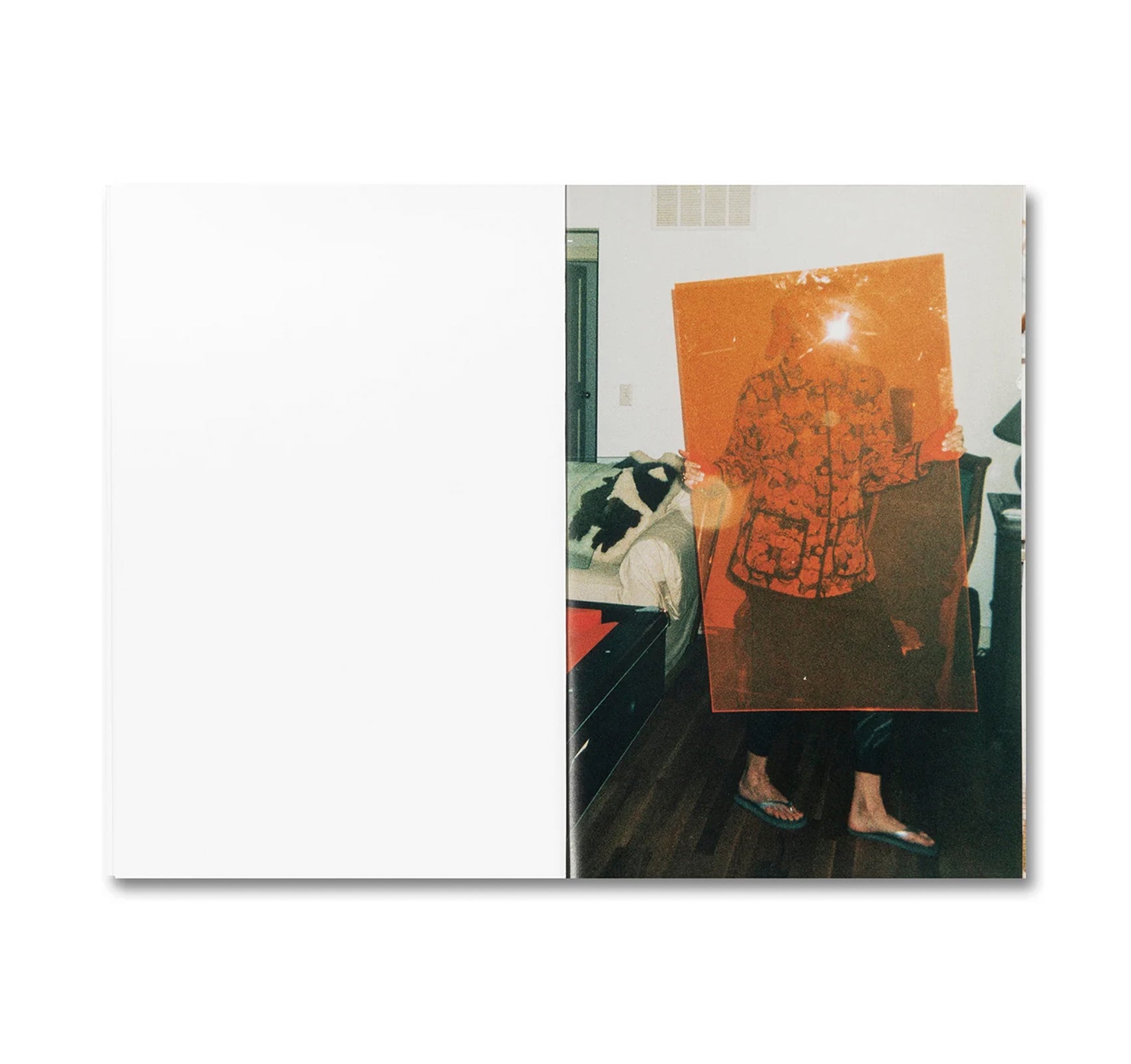 POSITIONS by K8 Hardy [SIGNED]