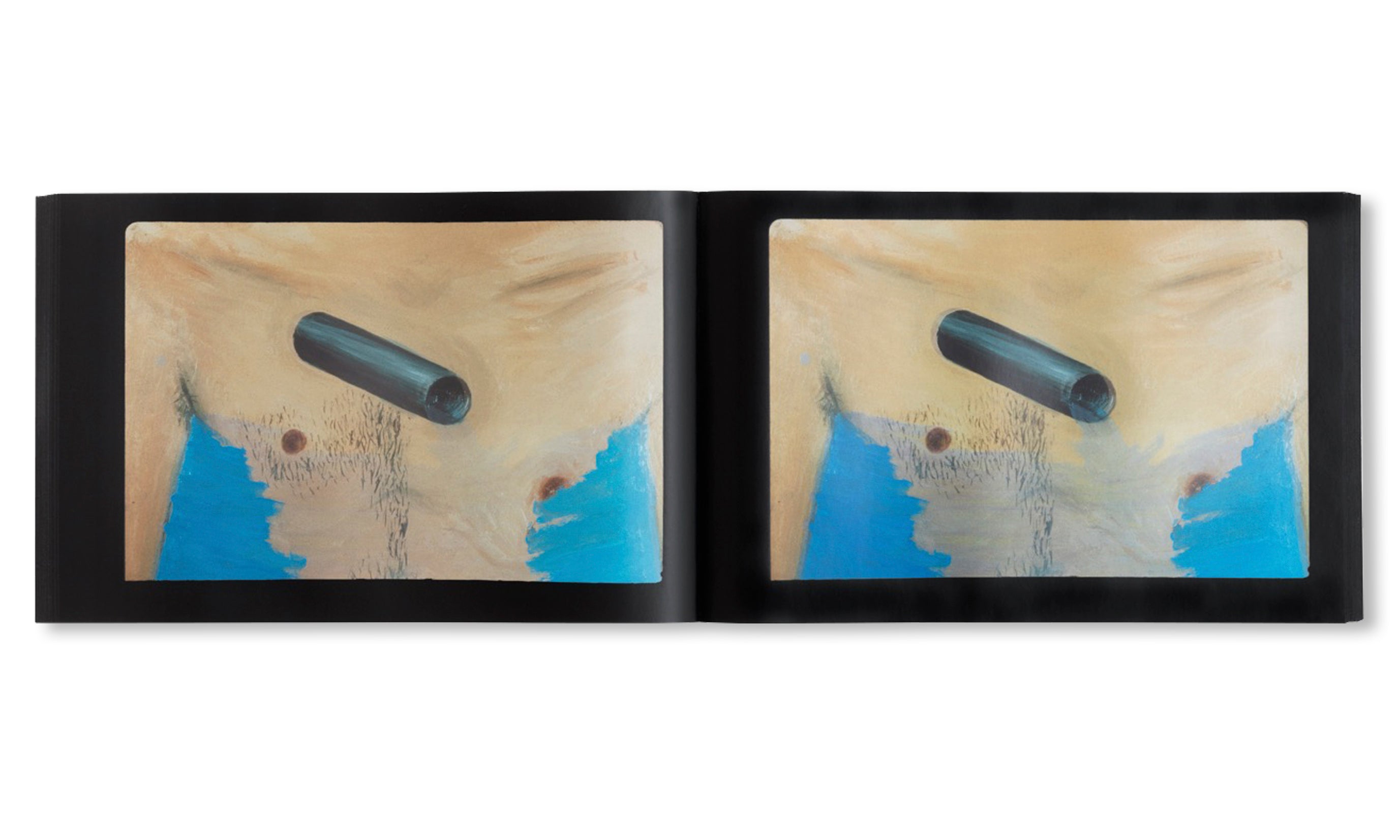 SLIDES OF A CHANGING PAINTING by Robert Gober