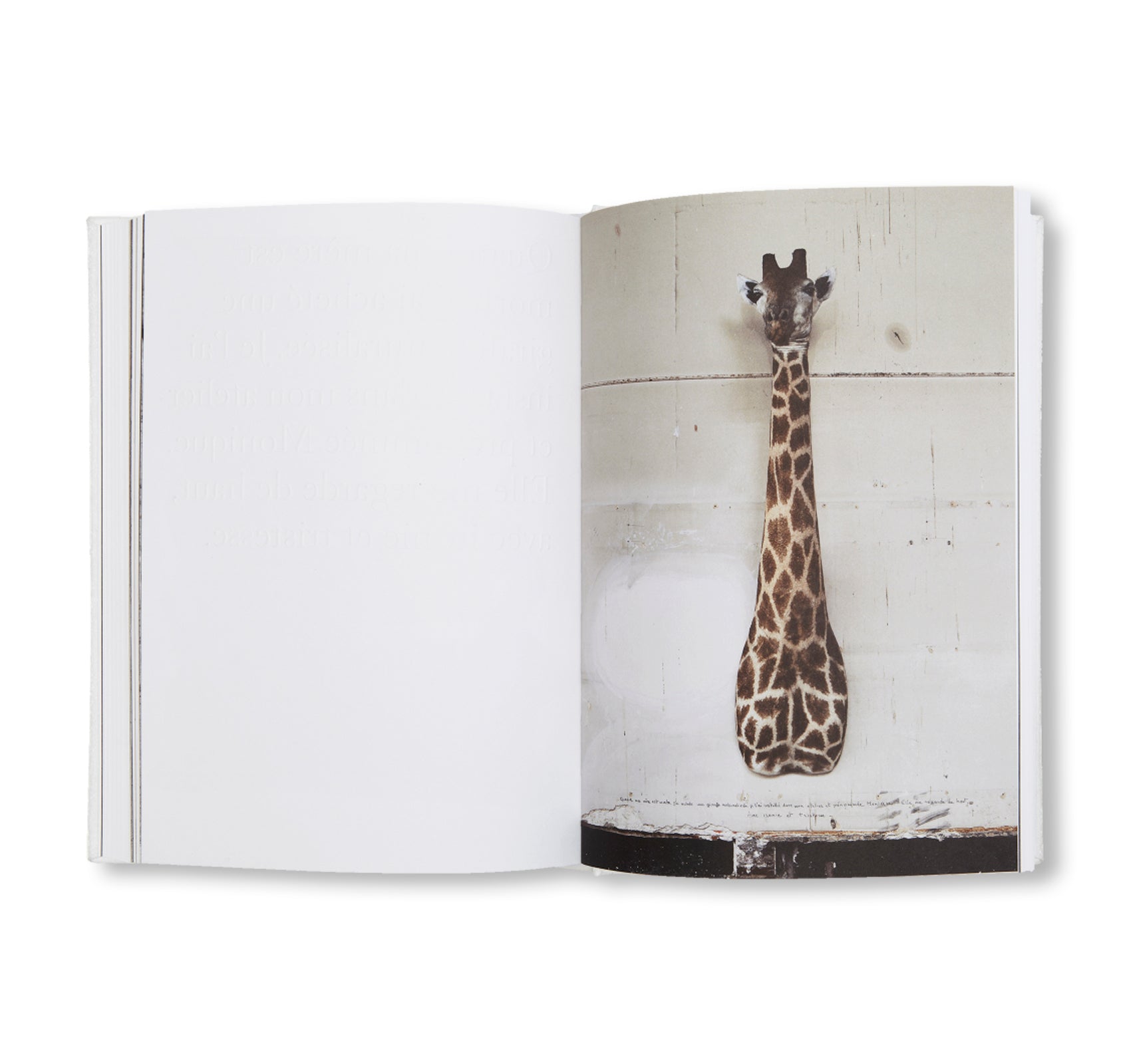 RACHEL, MONIQUE... by Sophie Calle [FRENCH EDITION]