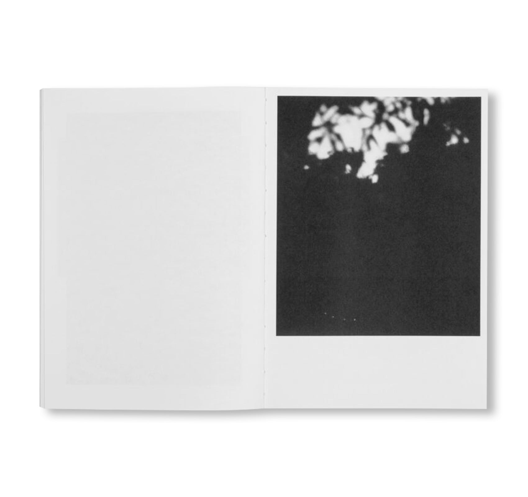LOCAL ECOLOGY. MOULIN DES RIBES by Jochen Lempert