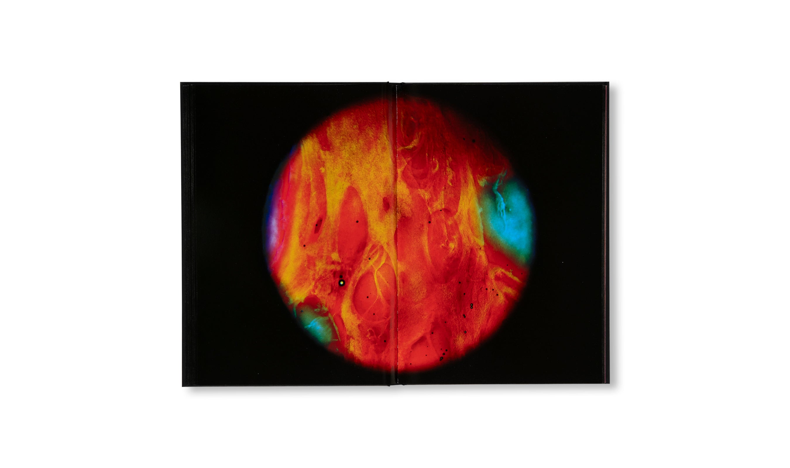 MY BLOODY HAND by Momo Okabe