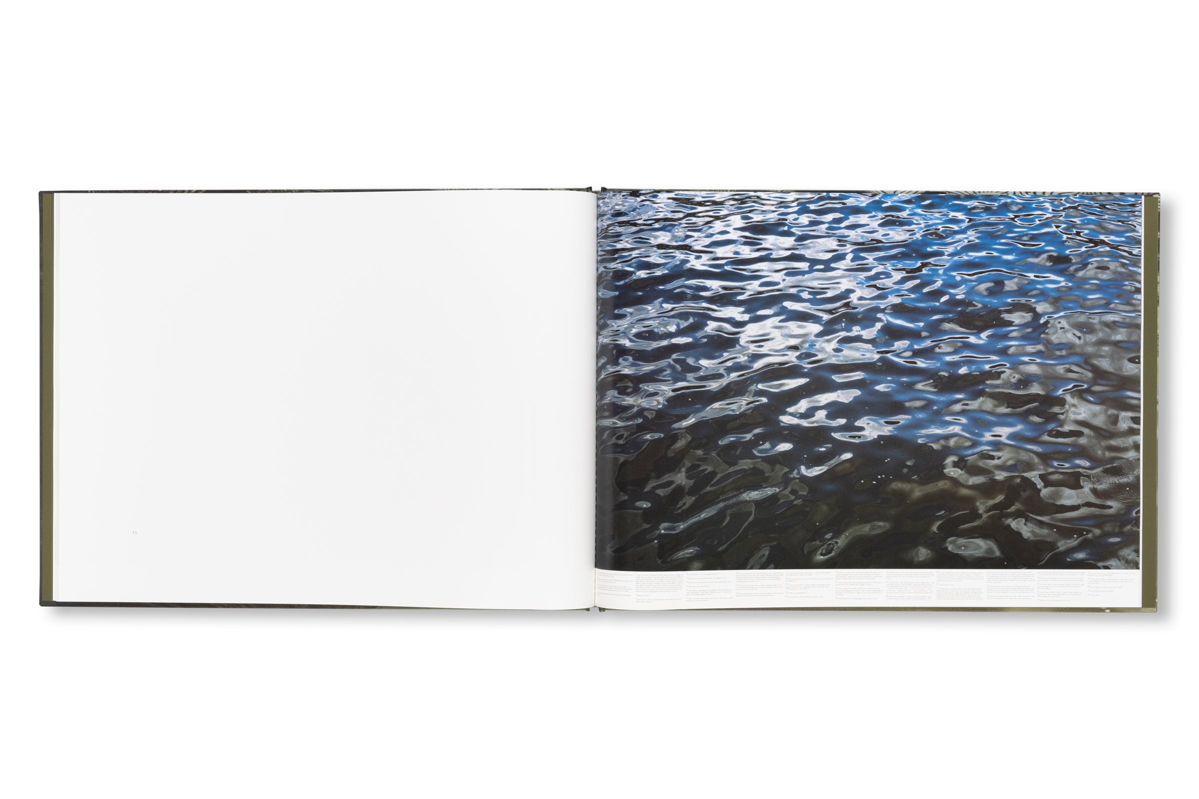 STILL WATER by Roni Horn