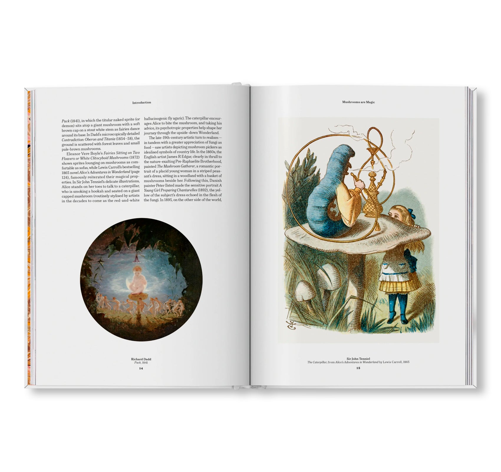THE GOURMAND'S MUSHROOM. A COLLECTION OF STORIES AND RECIPES by The Gourmand