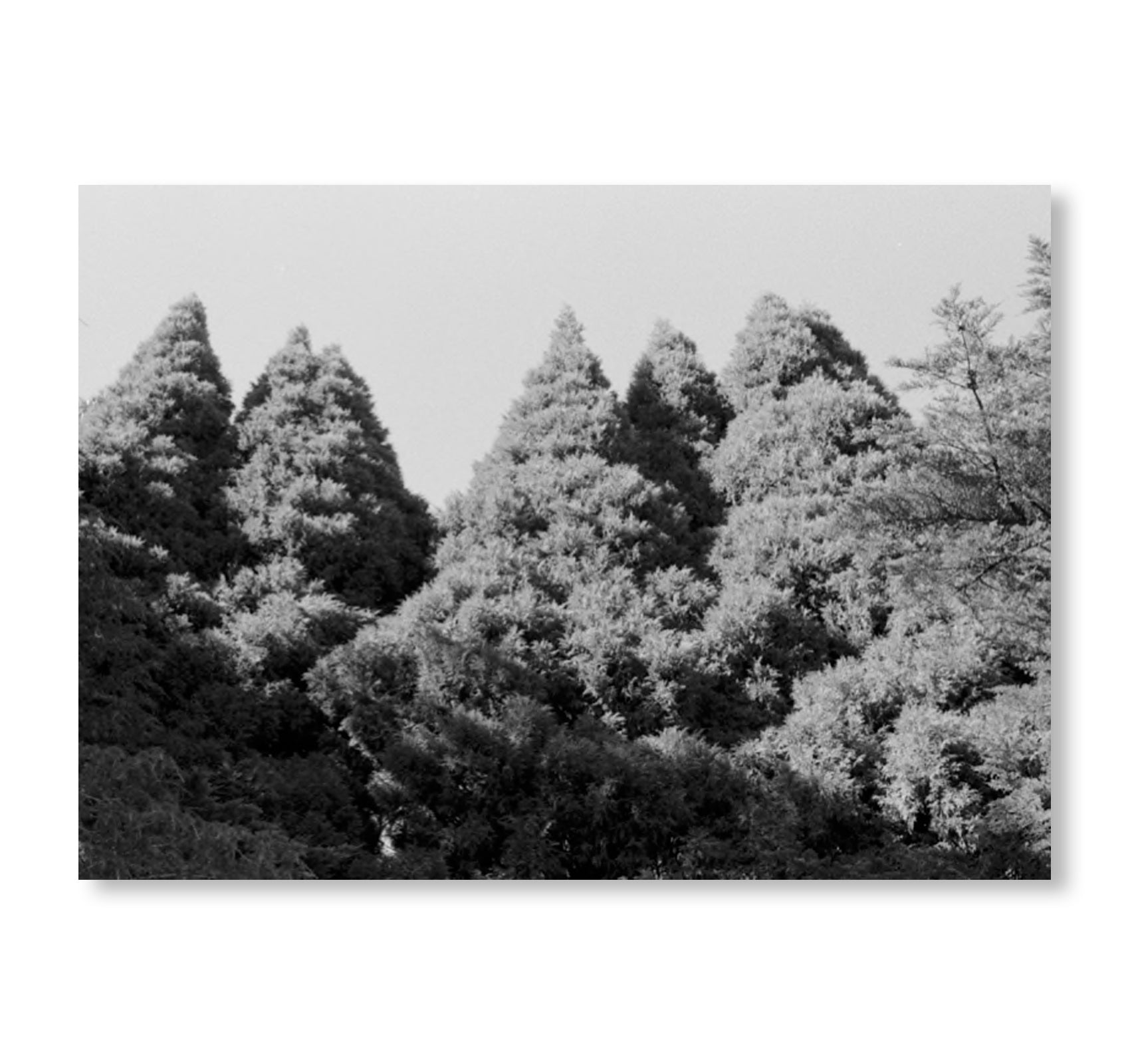 A CONGREGATION OF CLOUDS - N° 3 ACCUMULATIVE IMPULSES by Benedict Brink [INDIVIDUAL ZINES]