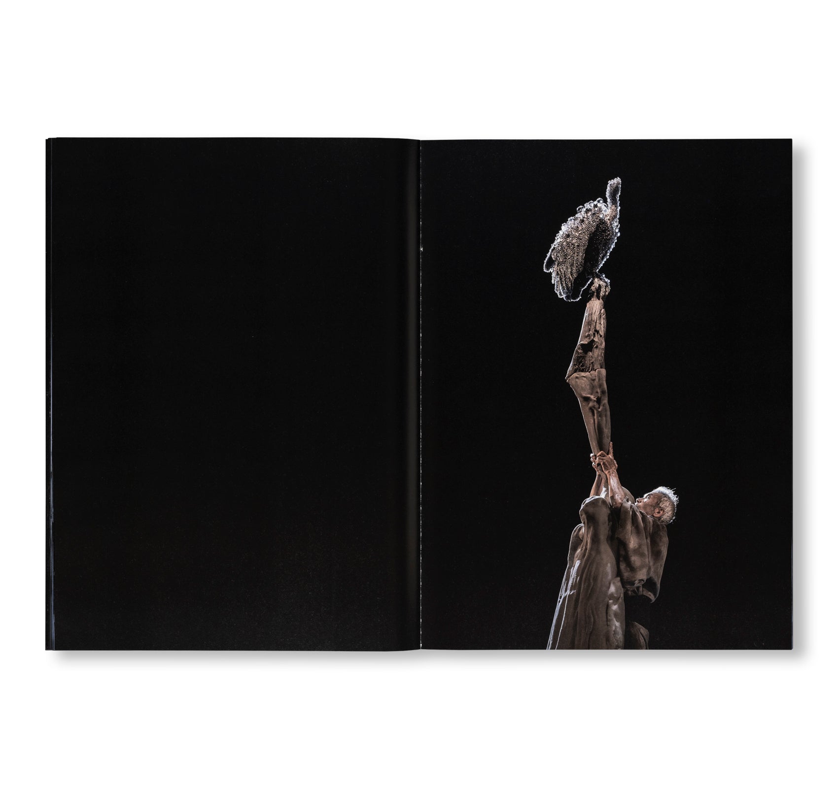FROM THE EDGE 彼岸より by Min Tanaka, Kohei Nawa