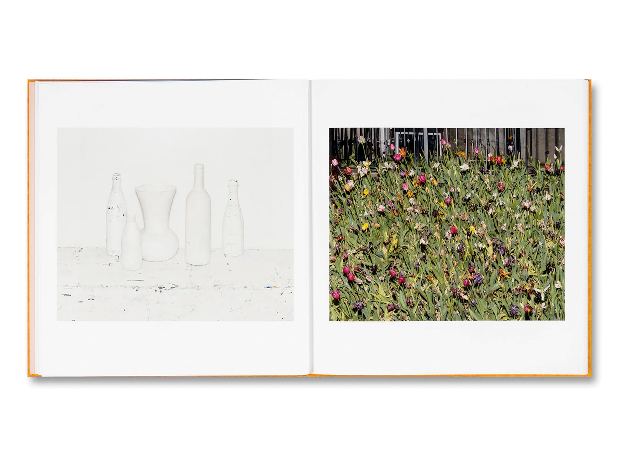 ADVICE FOR YOUNG ARTISTS by Alec Soth [SIGNED]