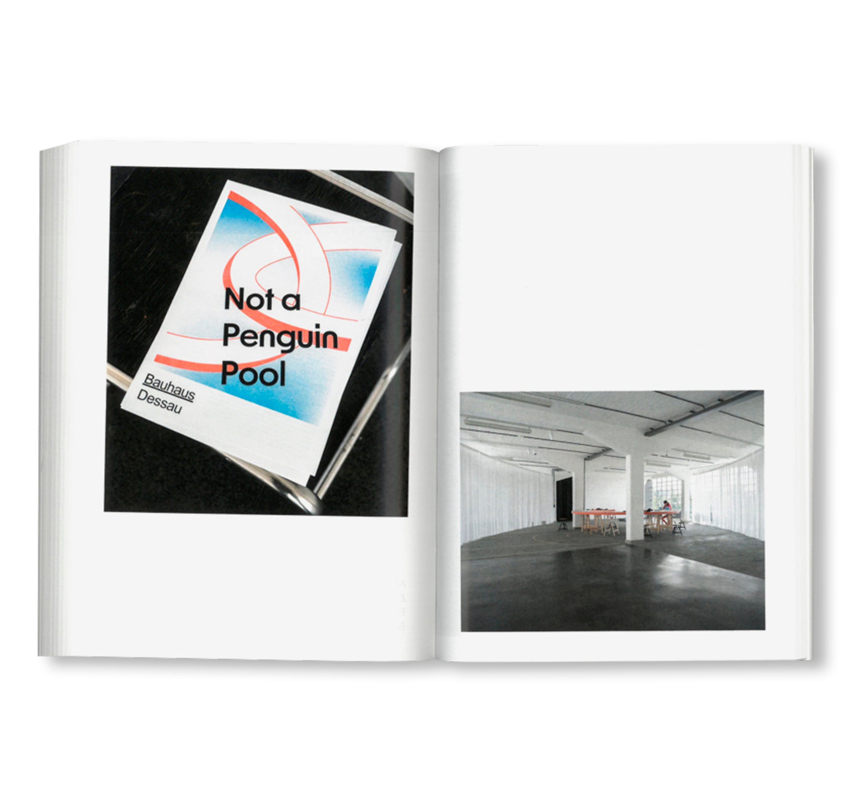 NOT A PENGUIN POOL: ECHOES OF MORE-THAN-HUMAN ENTANGLEMENTS / Bauhaus Paperback 28 by Stiftung Bauhaus Dessau