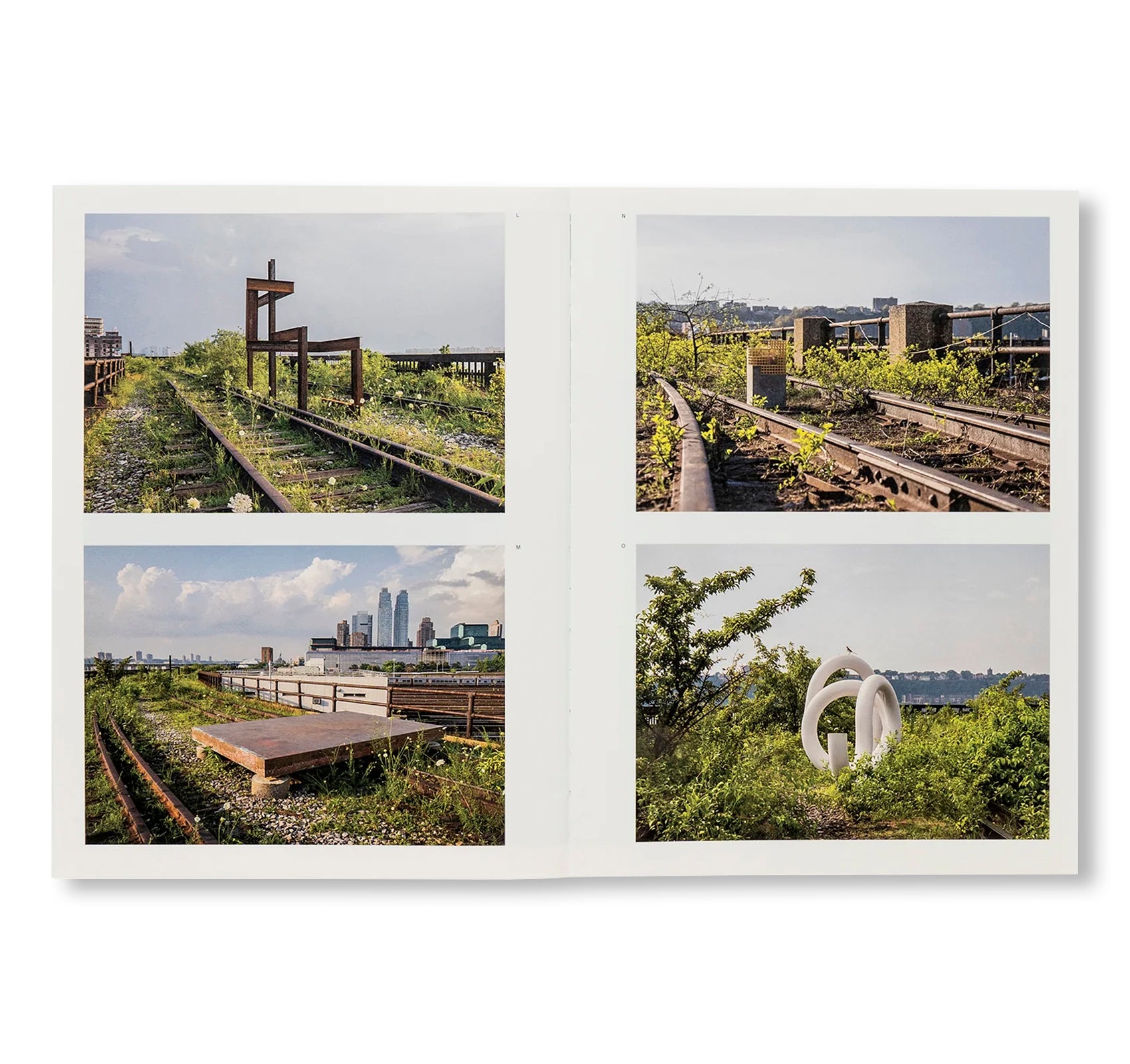 CAROL BOVE by Carol Bove (GUGGENHEIM MUSEUM)
