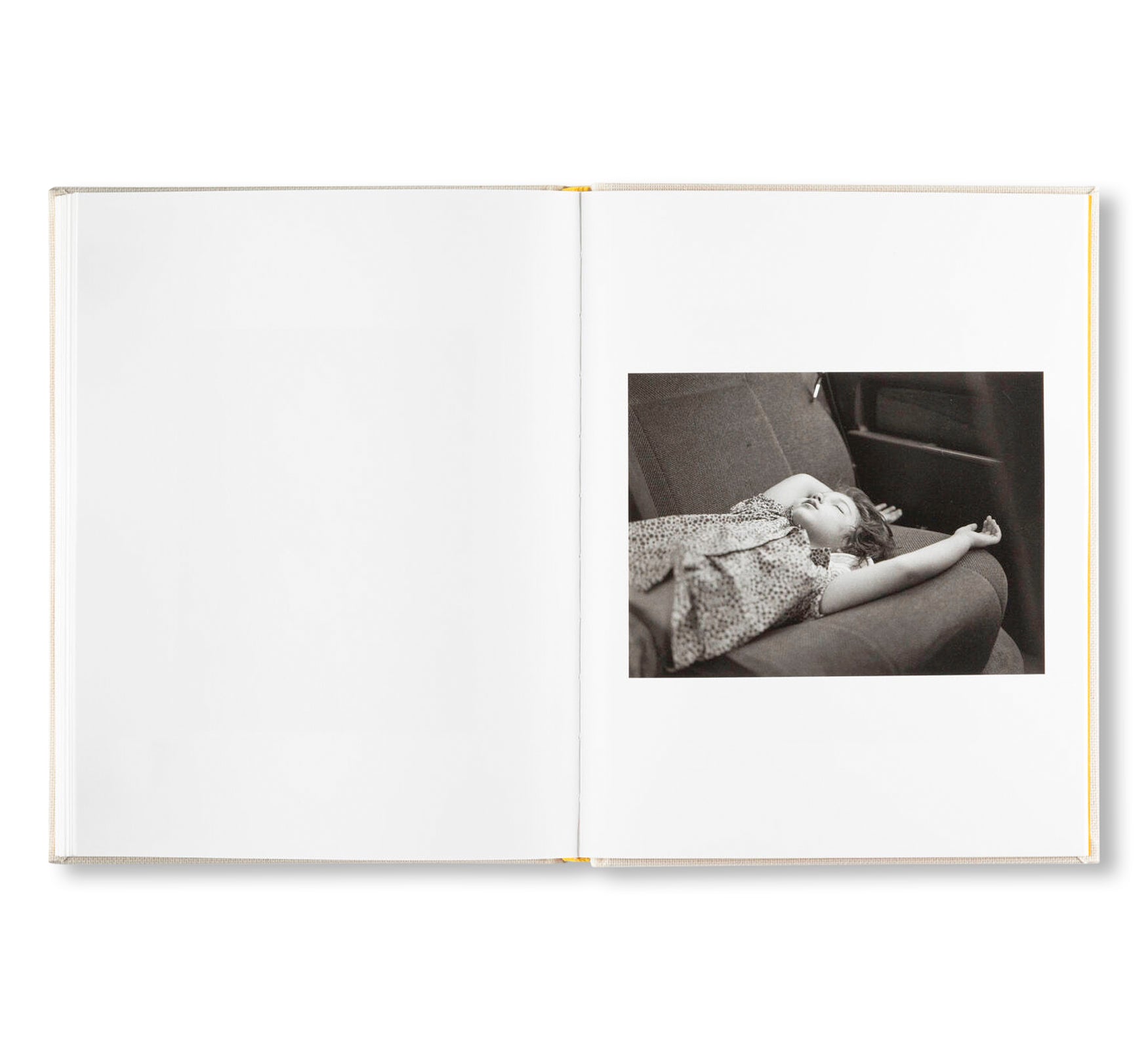 INSIEME by Irina Rozovsky, Mark Steinmetz
