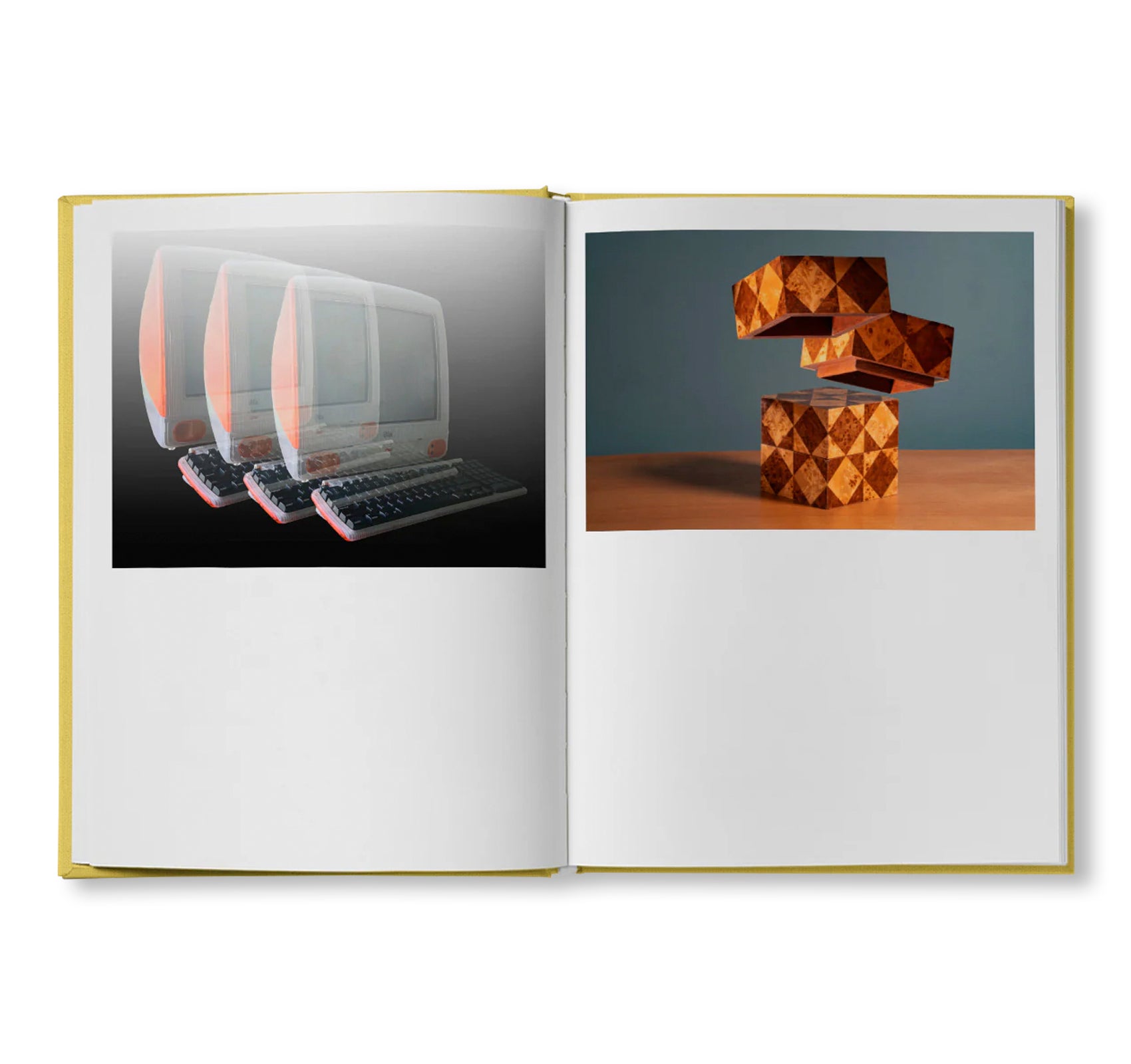 IRREVERSIBLE ORDER by Lisa Donneson