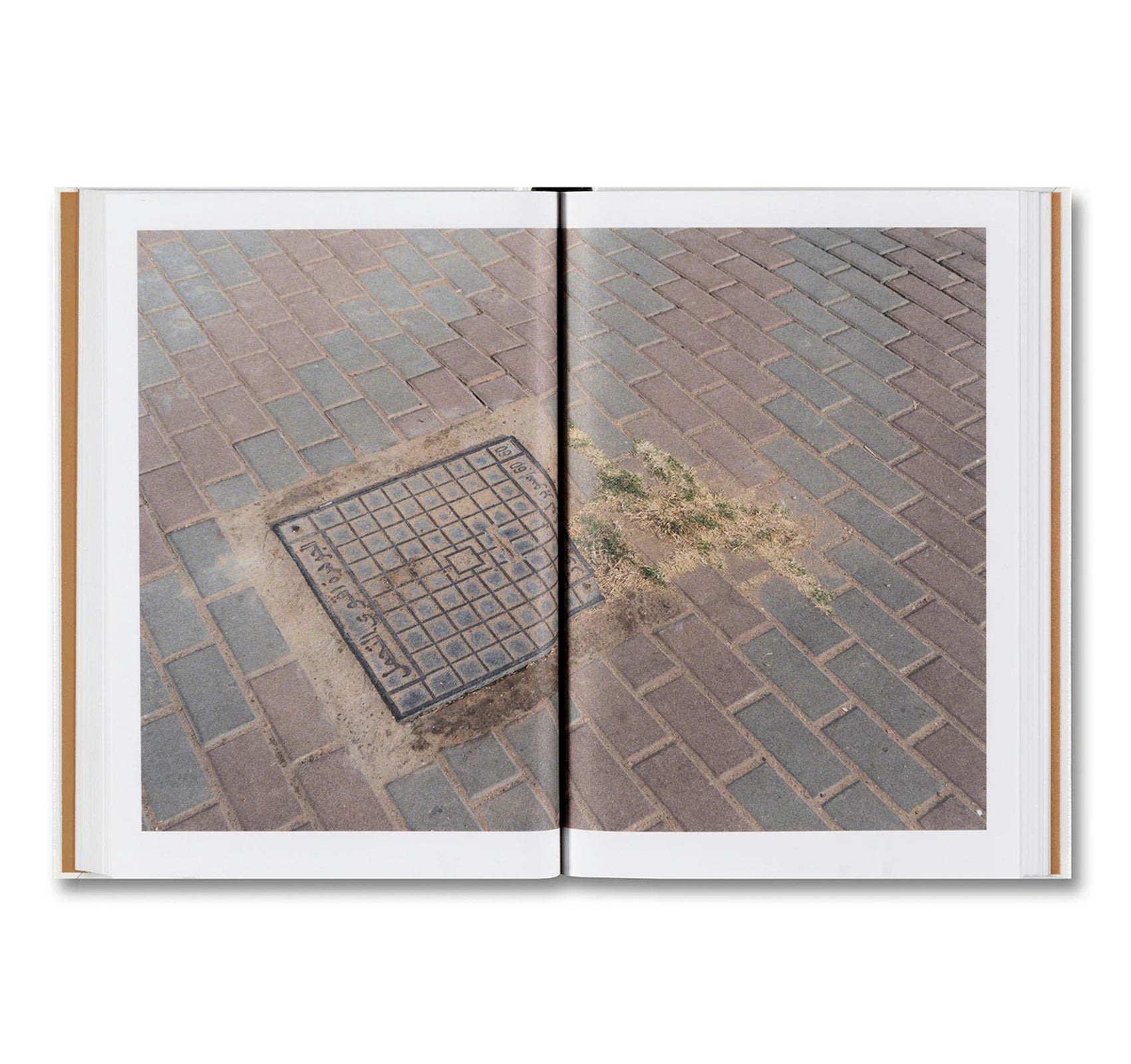 WEEDS: A GERMINATING THEORY by Kwan Queenie Li