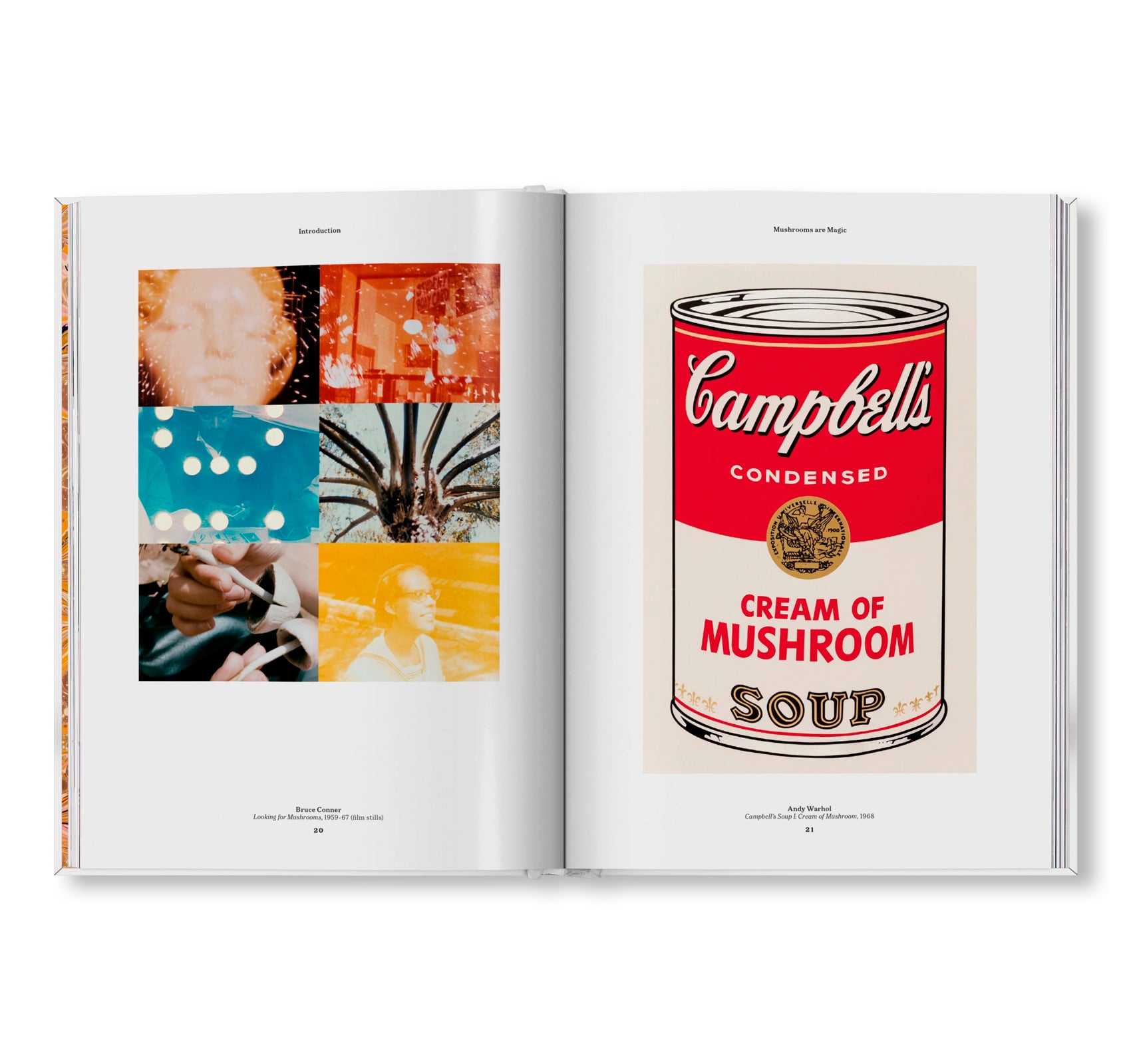 THE GOURMAND'S MUSHROOM. A COLLECTION OF STORIES AND RECIPES by The Gourmand