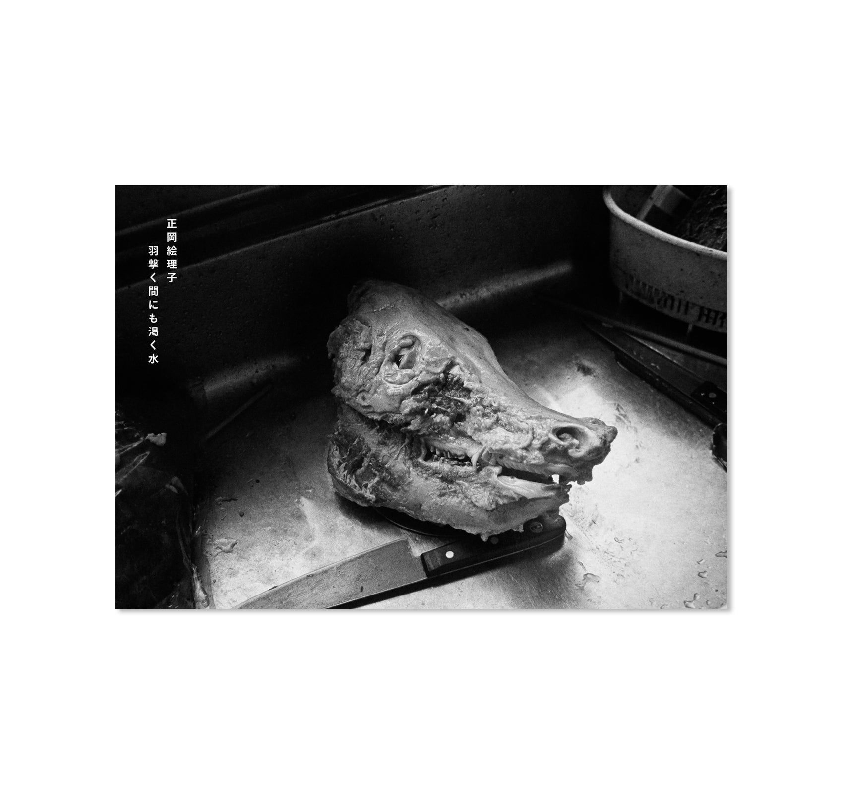 IN THE FLAP OF A BIRD'S WING, WATER DRIES UP by Eriko Masaoka