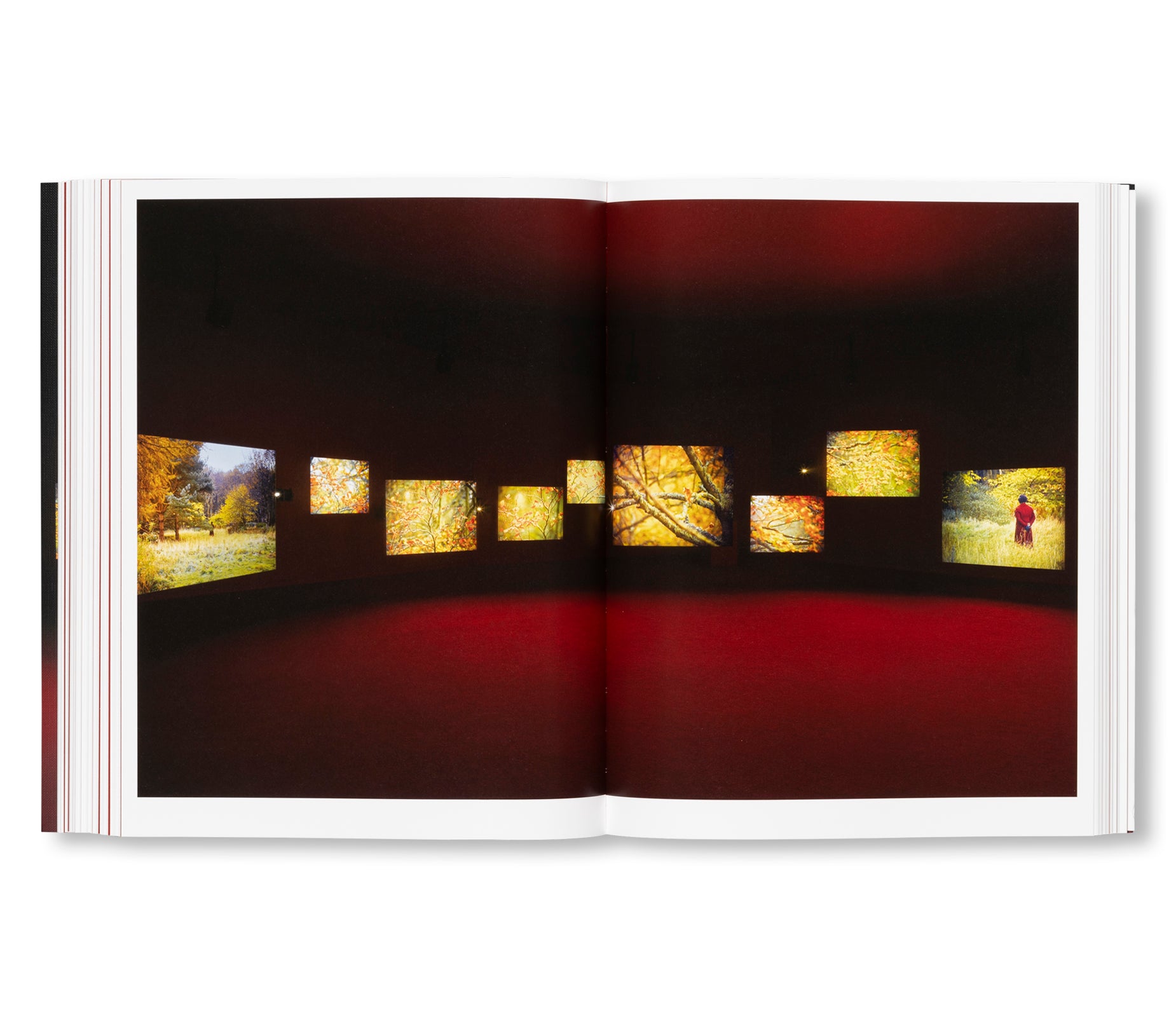 I DREAM A WORLD by Isaac Julien