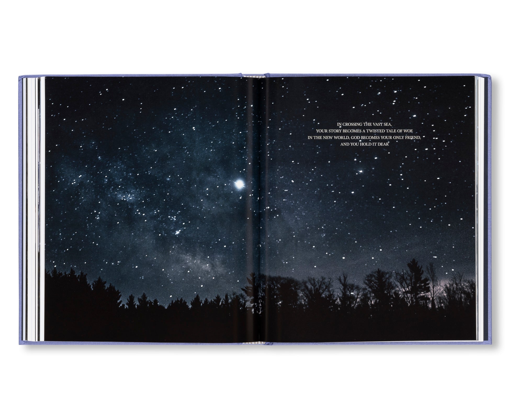 THE HEART OF THE MATTER by Carrie Mae Weems [ENGLISH EDITION]