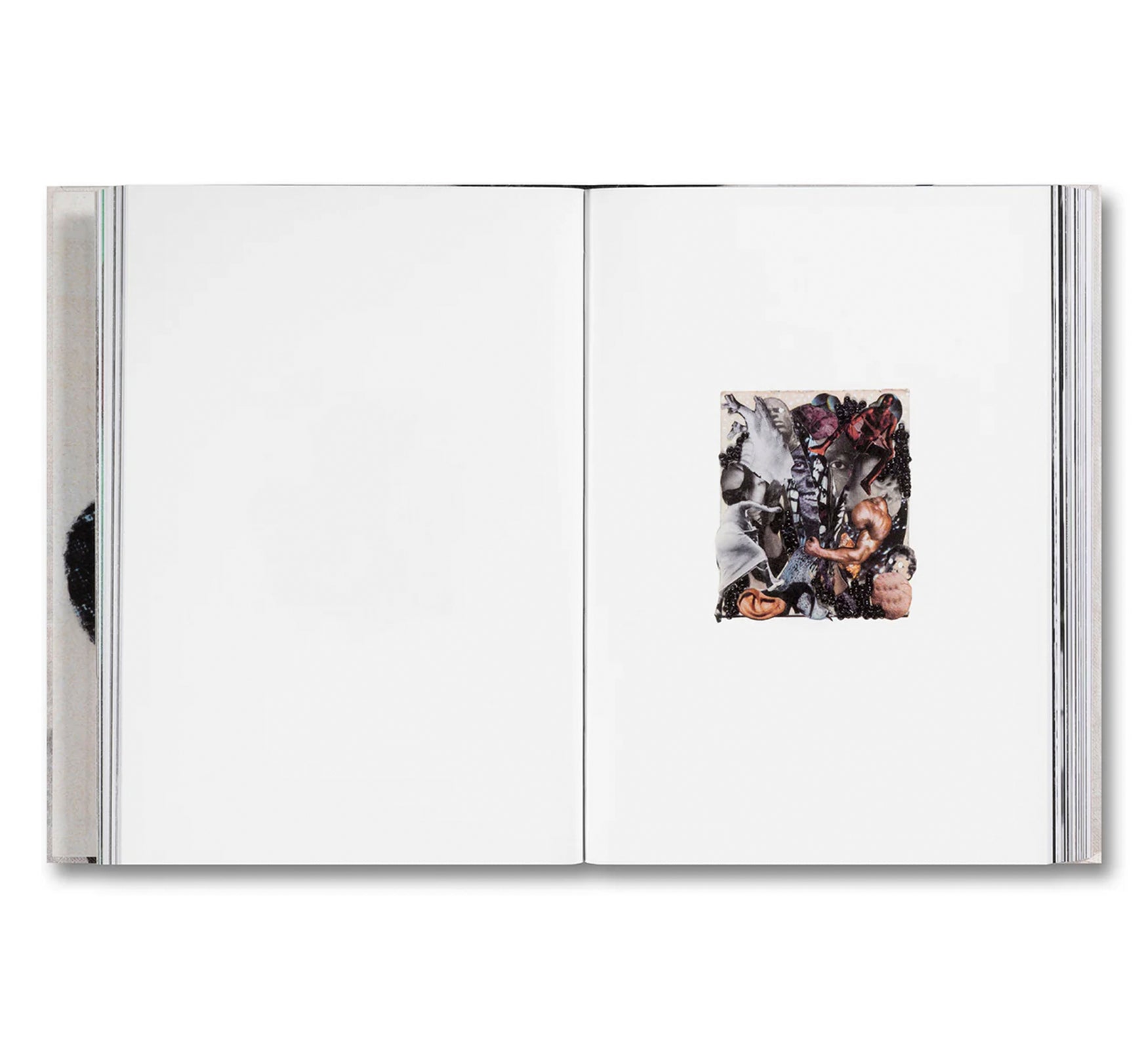 PASSPORTS by Keisha Scarville